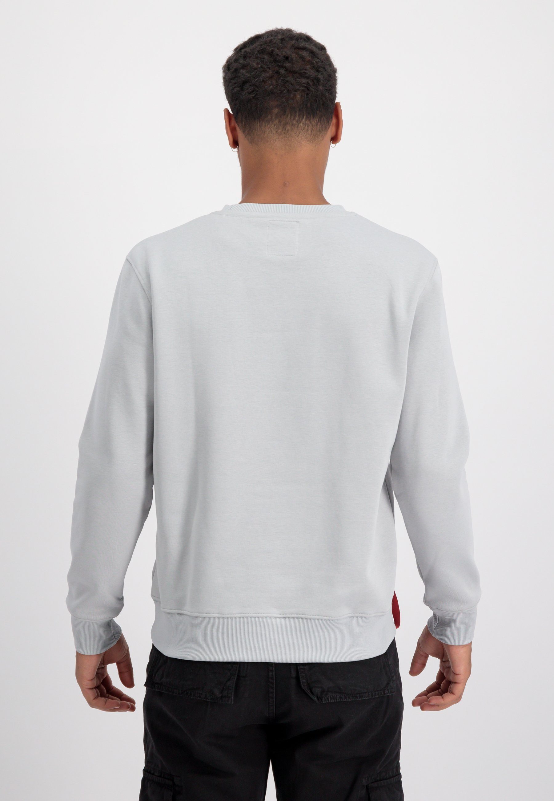 Sweater Alpha Industries Basic Men pastel grey - Sweater Alpha Industries Sweatshirts