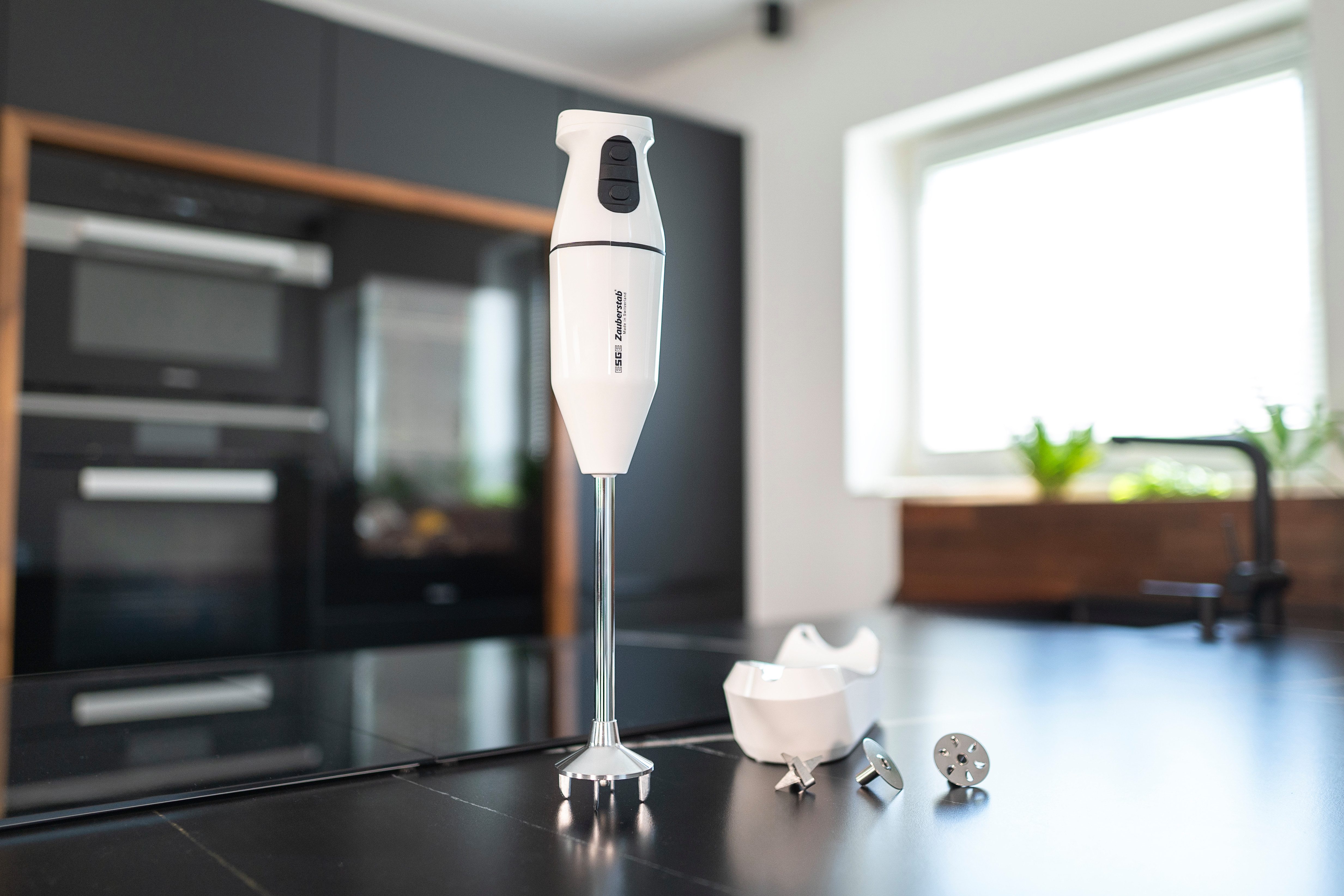 ESGE-Zauberstab Akku-Stabmixer Cordless Pro 95300 95305