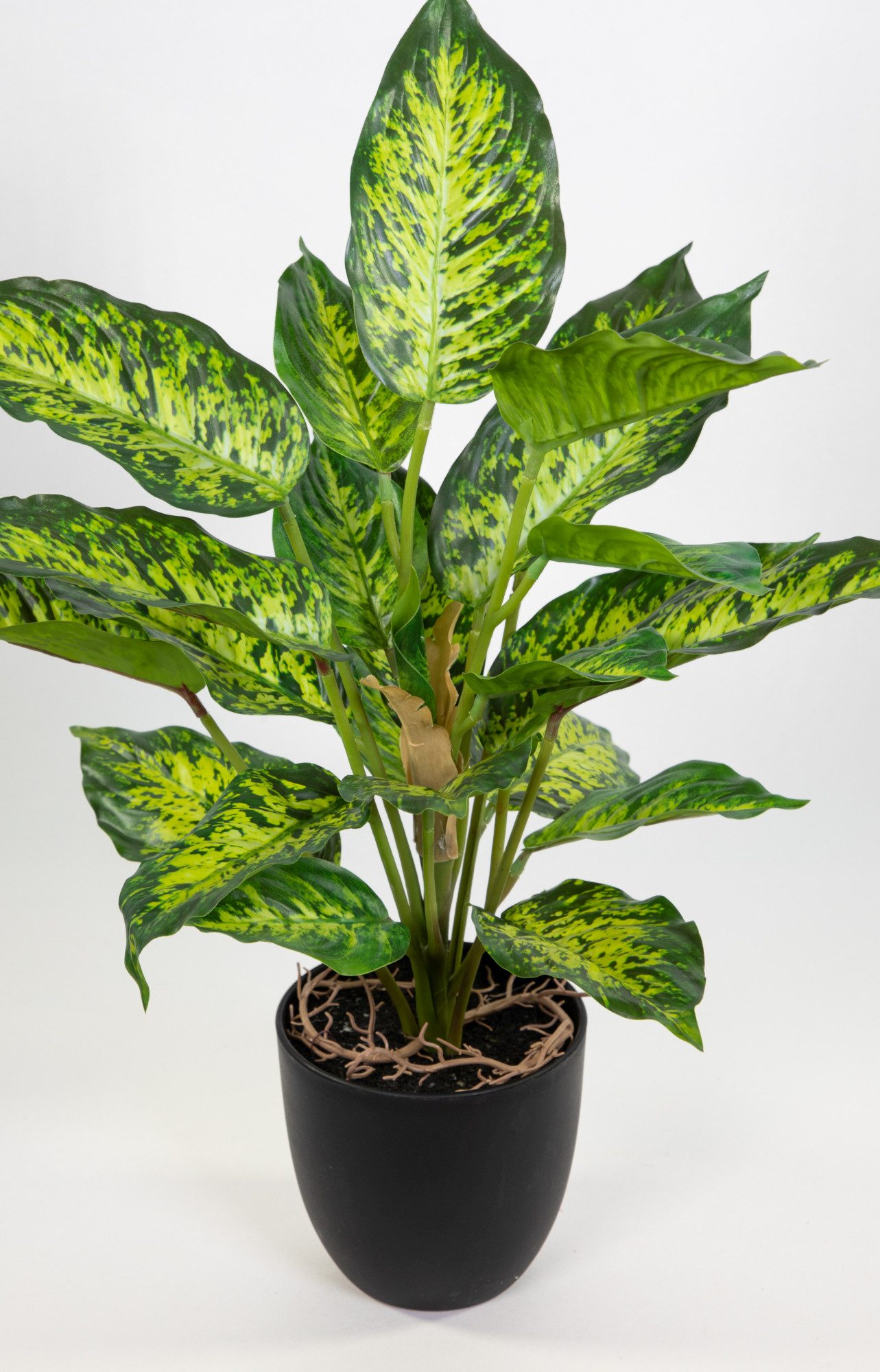 Kunstpflanze Dieffenbachia 50cm grün-gelb im Topf ZF Kunstblume künstliche günstig online kaufen