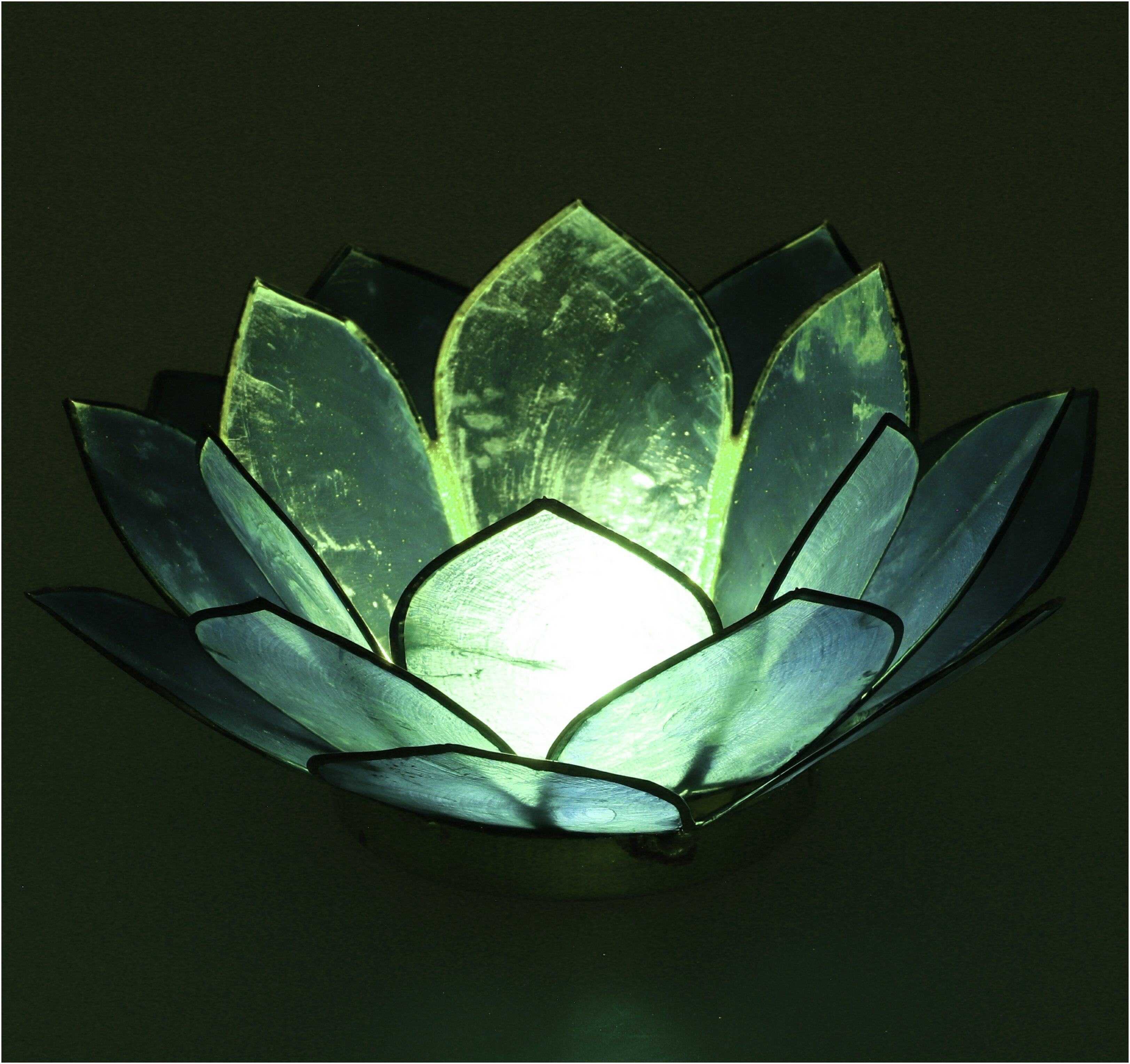 Guru-Shop Windlicht Lotus Teelicht Muschel 14*6 günstig online kaufen