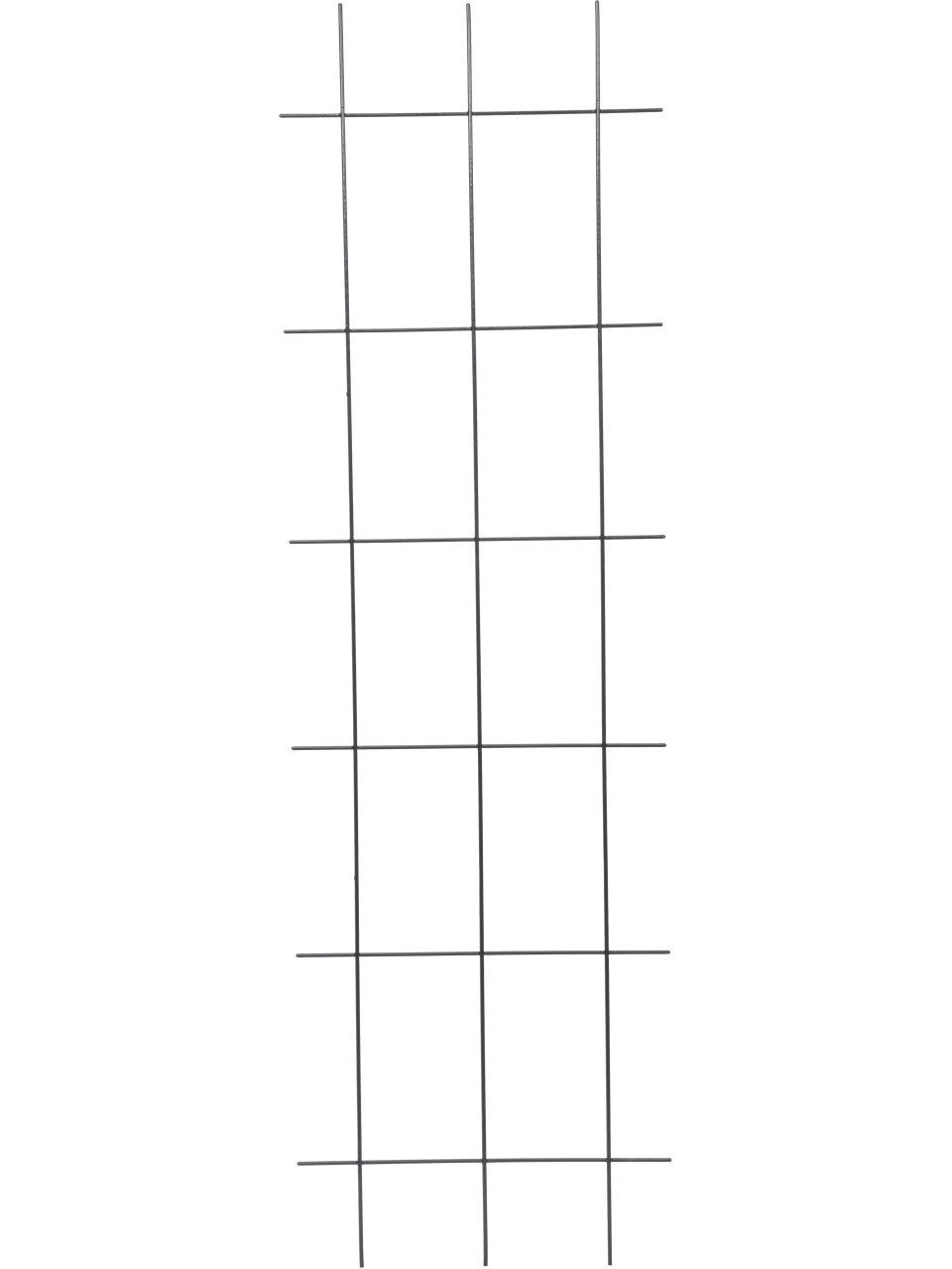 Trend Line Rankhilfe TrendLine Spaliergitter 150 x 45 cm günstig online kaufen