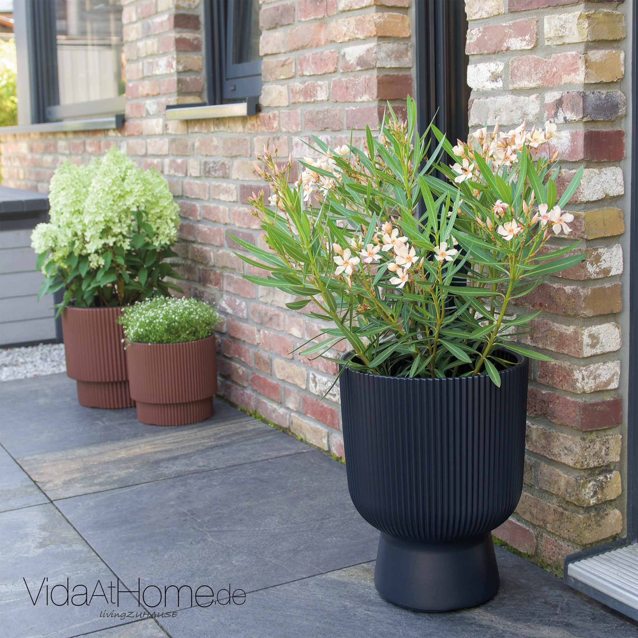 VidaAtHome.de Blumentopf Design-Pflanzgefäß ALVY ø 40er, günstig online kaufen