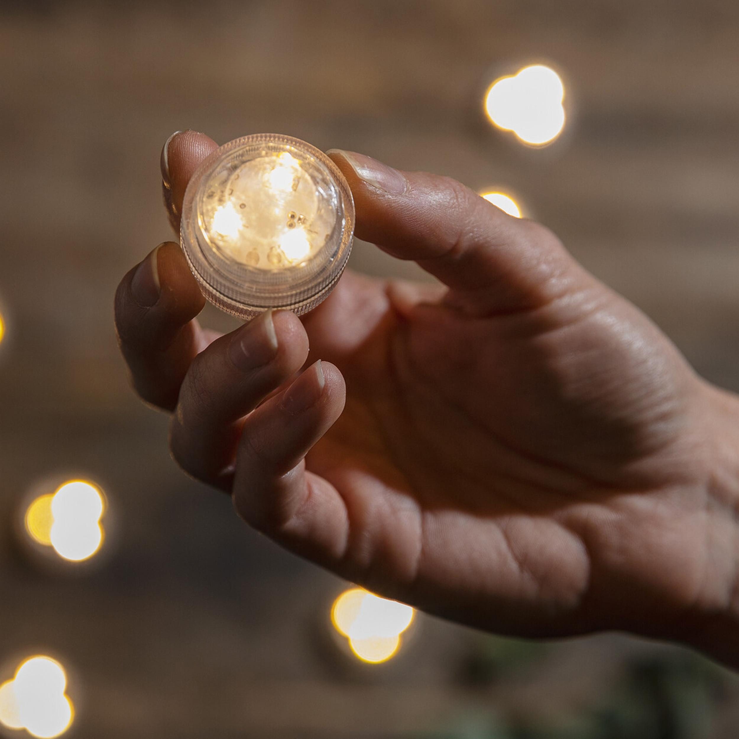 Frank Flechtwaren LED Dekoobjekt LED-Spot "Highlight", günstig online kaufen