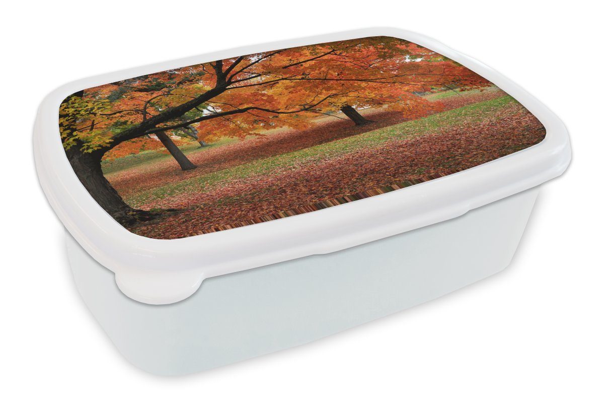 MuchoWow Lunchbox Herbstblätter in einem amerikanischen Wald, Kunststoff, (2-tlg), Brotbox für Kinder und Erwachsene, Brotdose, für Jungs und Mädchen weiß