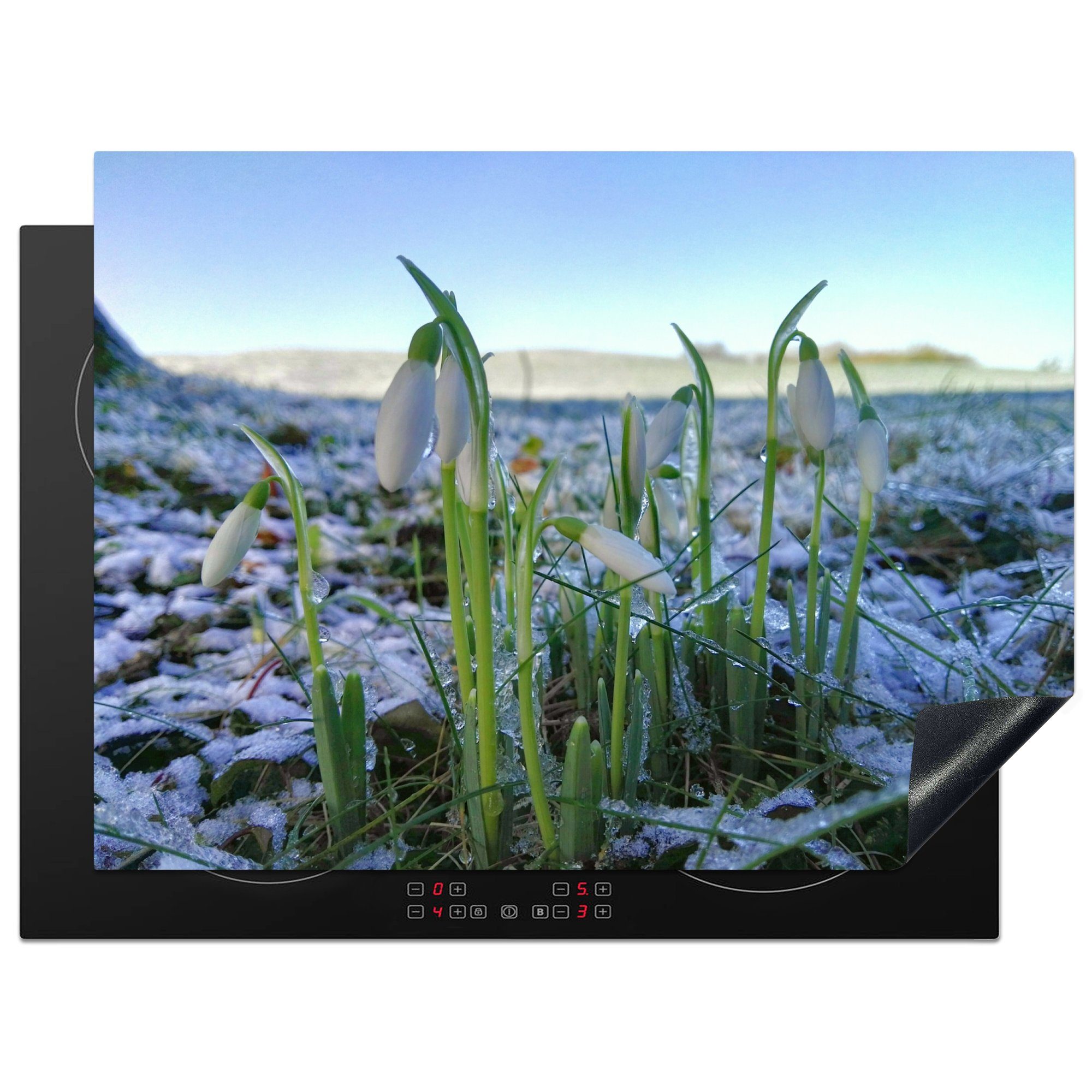 MuchoWow Herdblende-/Abdeckplatte Schneeglöckchen auf einem Feld im Winter, Vinyl, (1 tlg), 70x52 cm, Mobile Arbeitsfläche nutzbar, Ceranfeldabdeckung | Herdabdeckplatten