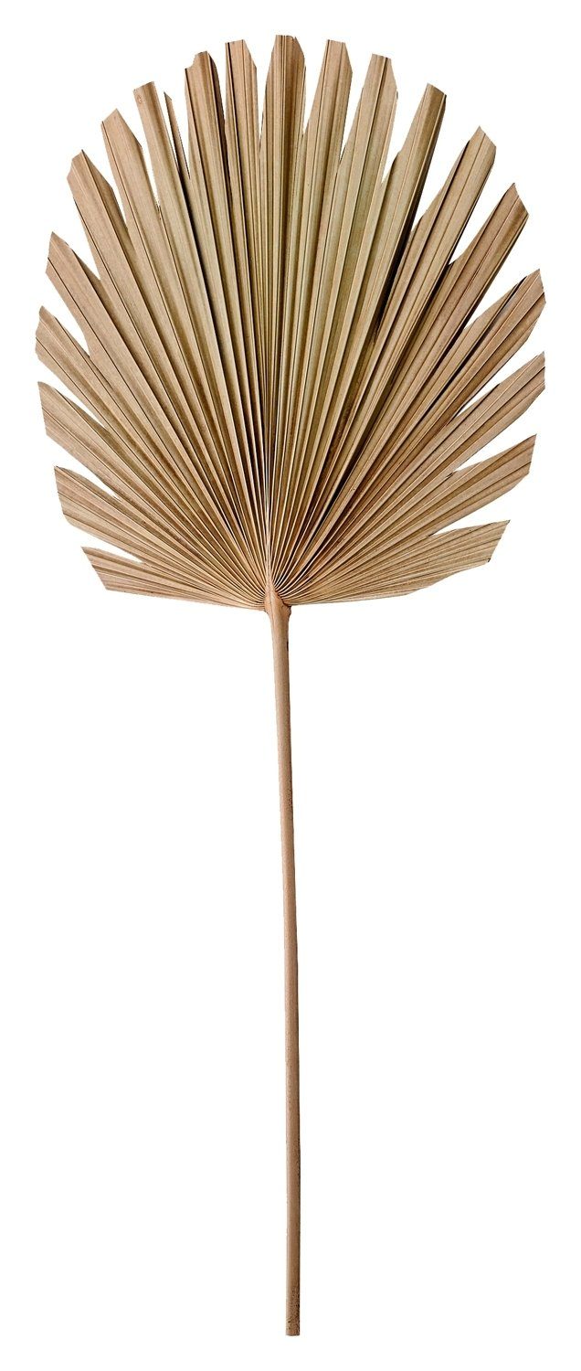 Lampenschirm Deko-Ornament PLANTAE, Braun, B 44 cm