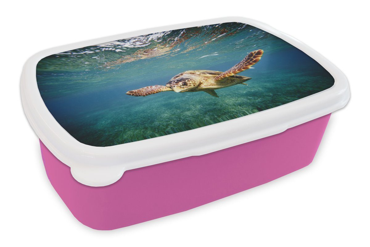 MuchoWow Lunchbox Schildkröte - Wasser - Blau, Kunststoff, (2-tlg), Brotbox für Erwachsene, Brotdose Kinder, Snackbox, Mädchen, Kunststoff rosa
