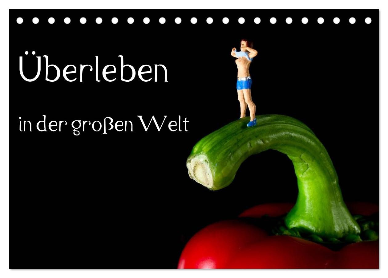 CALVENDO Wandkalender Überleben in der großen Welt - HO Figuren (Tischkalender 2026 DIN A5 q