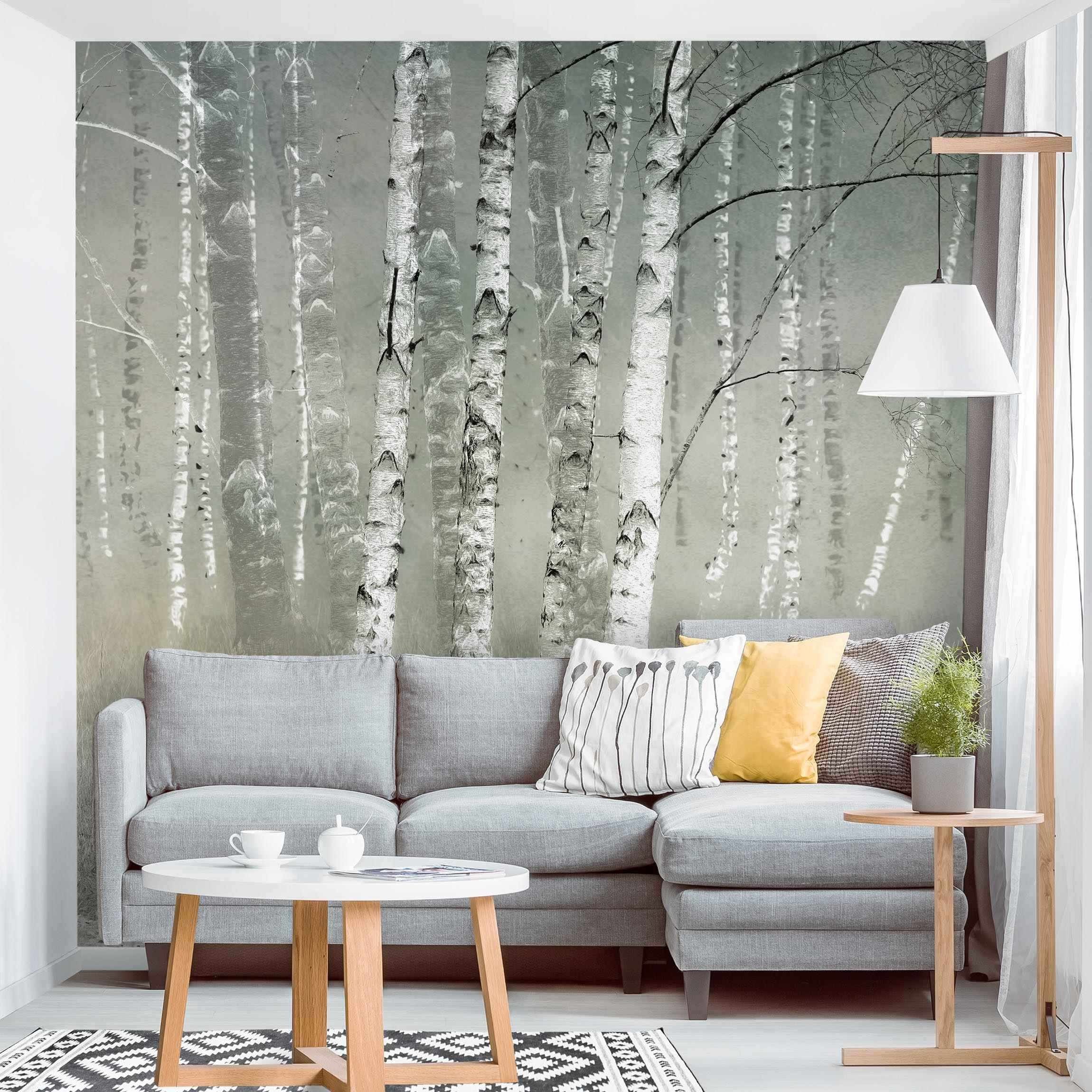 Bilderdepot24 Fototapete Wald Ruhender Birkenwald Natur Landschaft Waldtapete Bäume, Glatt, Matt, (Vliestapete inkl. Kleister oder selbstklebend), Wohnzimmer Schlafzimmer Küche Flur Motivtapete Vliestapete Wandtapete