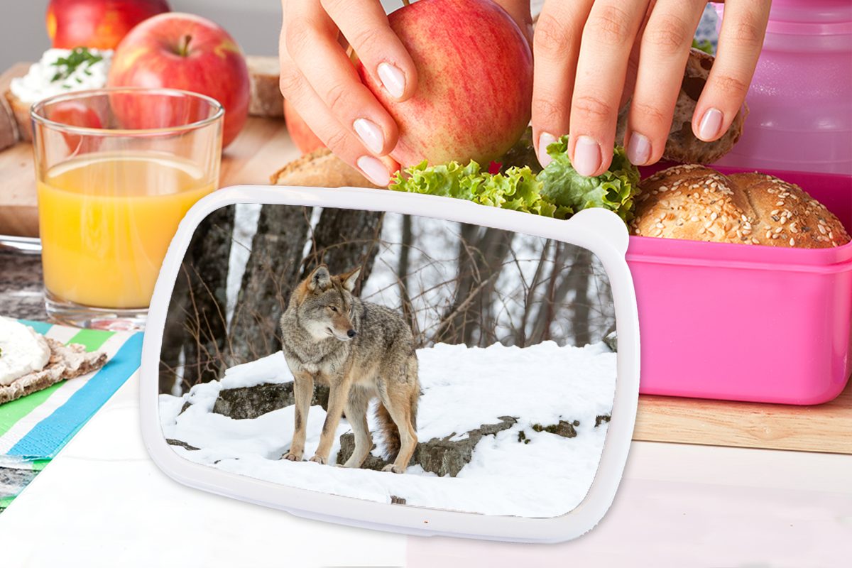 Kinder, Wald, Lunchbox Erwachsene, Snackbox, rosa Brotbox - Schnee - Kunststoff (2-tlg), für Brotdose Kunststoff, MuchoWow Mädchen, Wolf