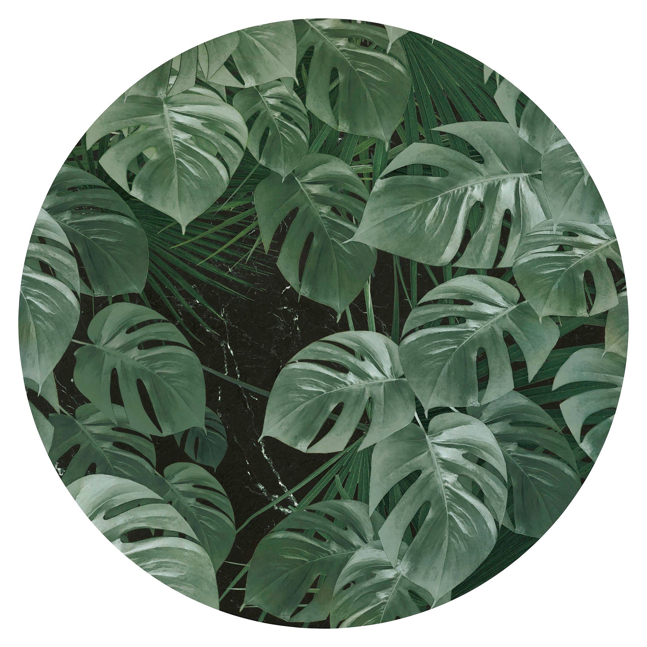 Komar Vliestapete Vlies selbstklebend - Novel Monstera - Größe 125 x 125 cm, glatt, bedruckt, Wohnzimmer, Schlafzimmer