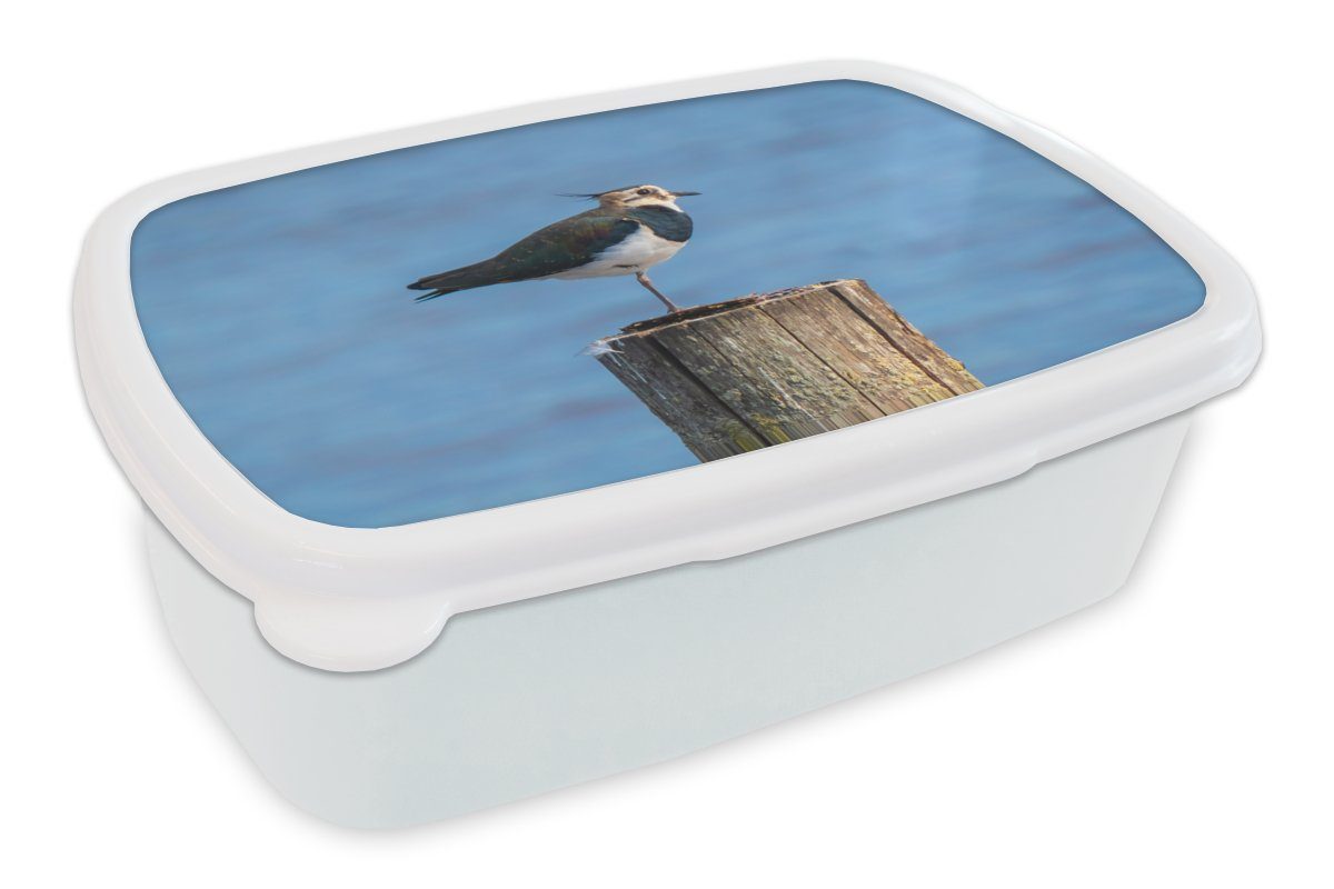 MuchoWow Lunchbox Vogel - Tiere - Pfahl - Blau - Kiebitz, Kunststoff, (2-tlg), Brotbox für Kinder und Erwachsene, Brotdose, für Jungs und Mädchen weiß