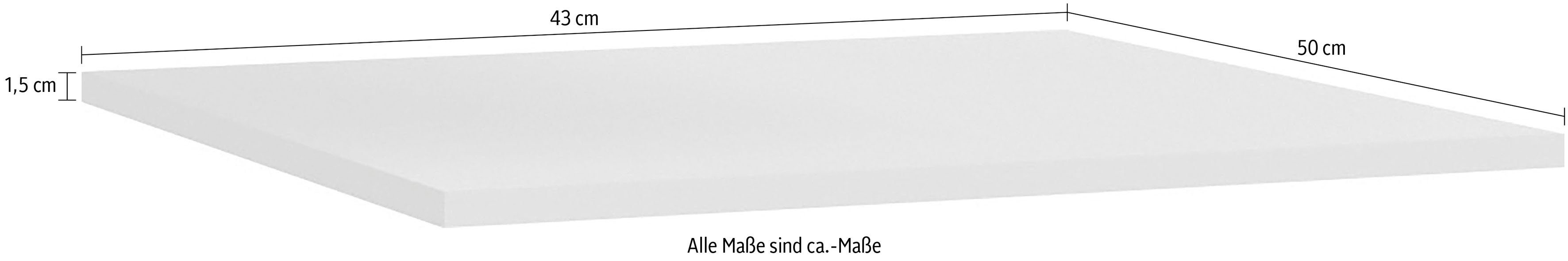 FORTE Einlegeboden (Set, St) 3