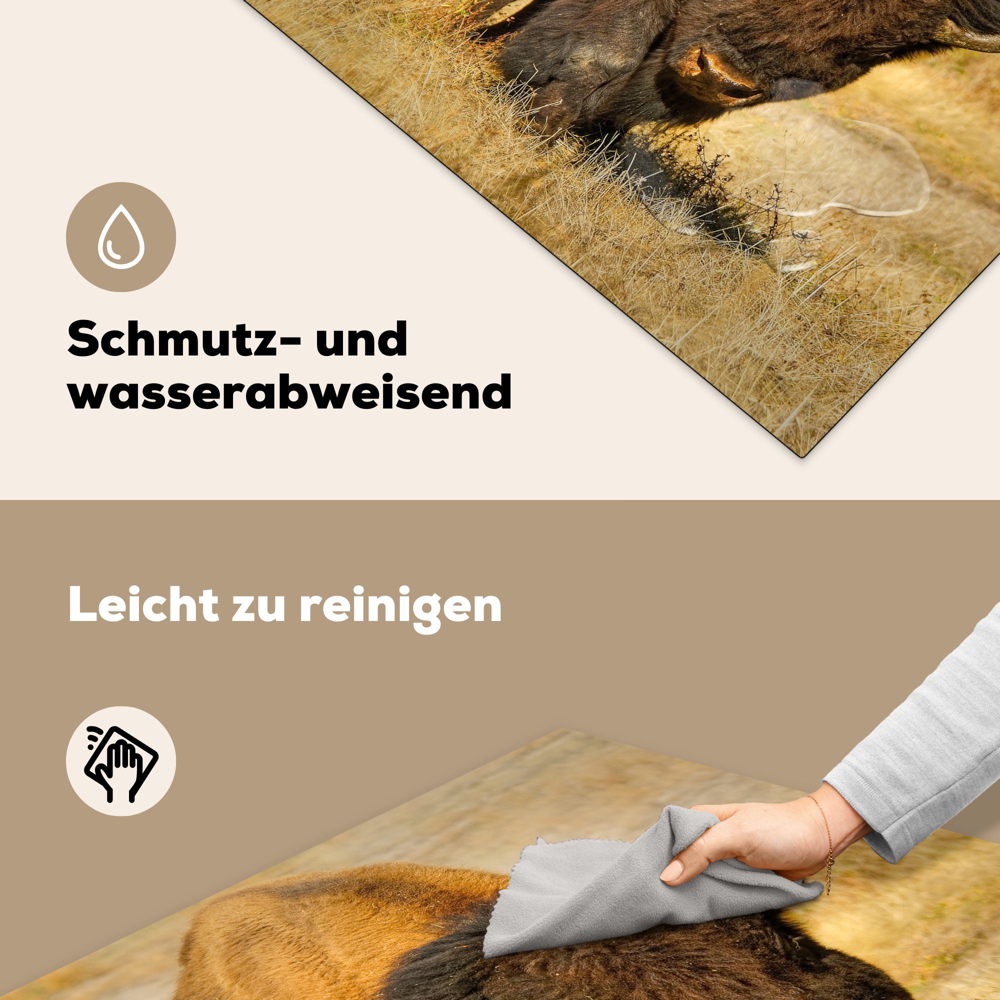 MuchoWow Herdblende-/Abdeckplatte Nahaufnahme Büffel im für küche (1 Gras, Vinyl, cm, Arbeitsplatte tlg), Ceranfeldabdeckung, 78x78