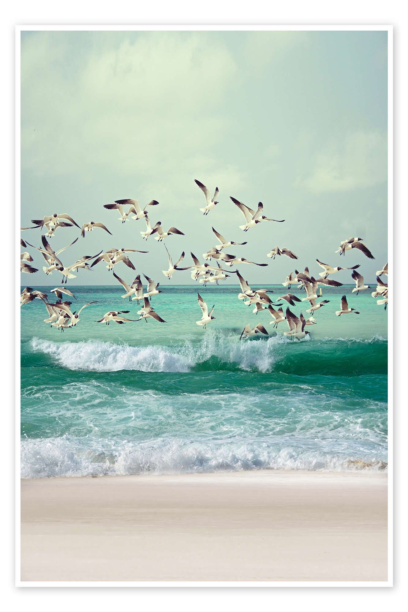 Posterlounge Wandbild Möwen am Strand, Art Couture, erhältlich als Poster, Leinwandbild, Wandsticker oder Acrylglasbild