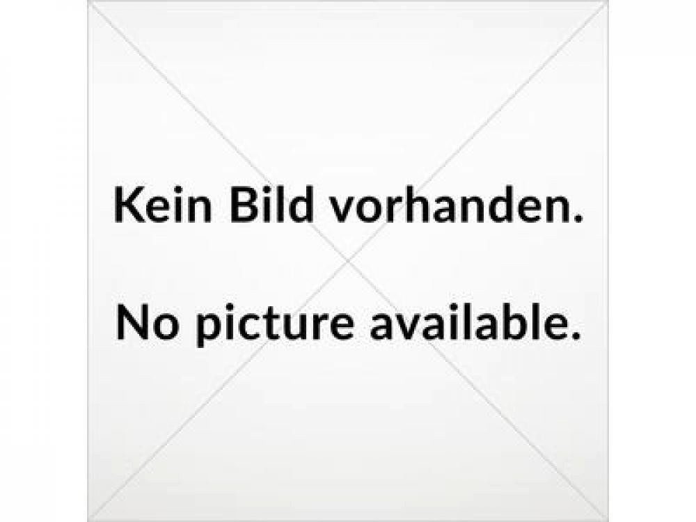 SRAM Kettenschaltung SRAM X-Sync Kettenblatt Direct Mount 32T 3mm Offset - 11-fach MTB Stah