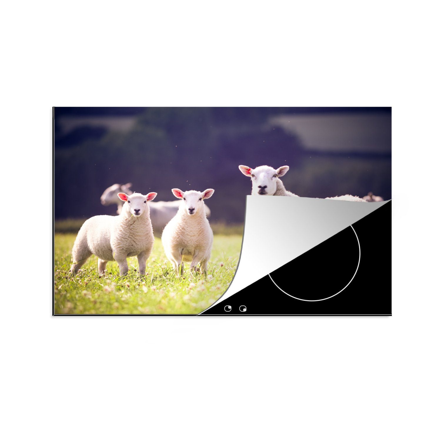(1 Induktionskochfeld - küche, Lamm tlg), MuchoWow 81x52 Blumen, - Schutz die Schaf Herdblende-/Abdeckplatte Vinyl, für cm, Ceranfeldabdeckung