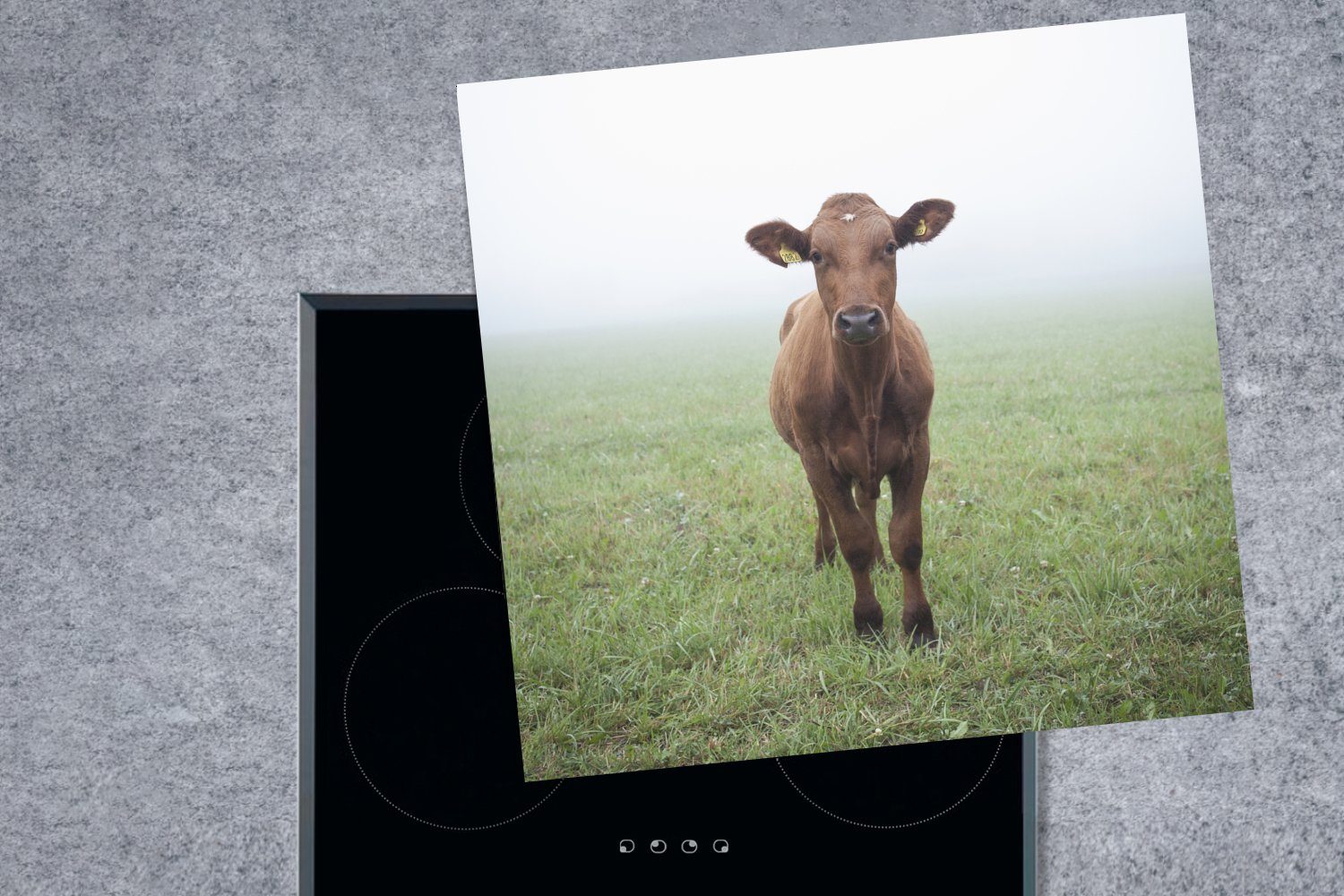 (1 Kuh für Arbeitsplatte Gras, küche - cm, - Nebel 78x78 Vinyl, tlg), MuchoWow Herdblende-/Abdeckplatte Ceranfeldabdeckung,