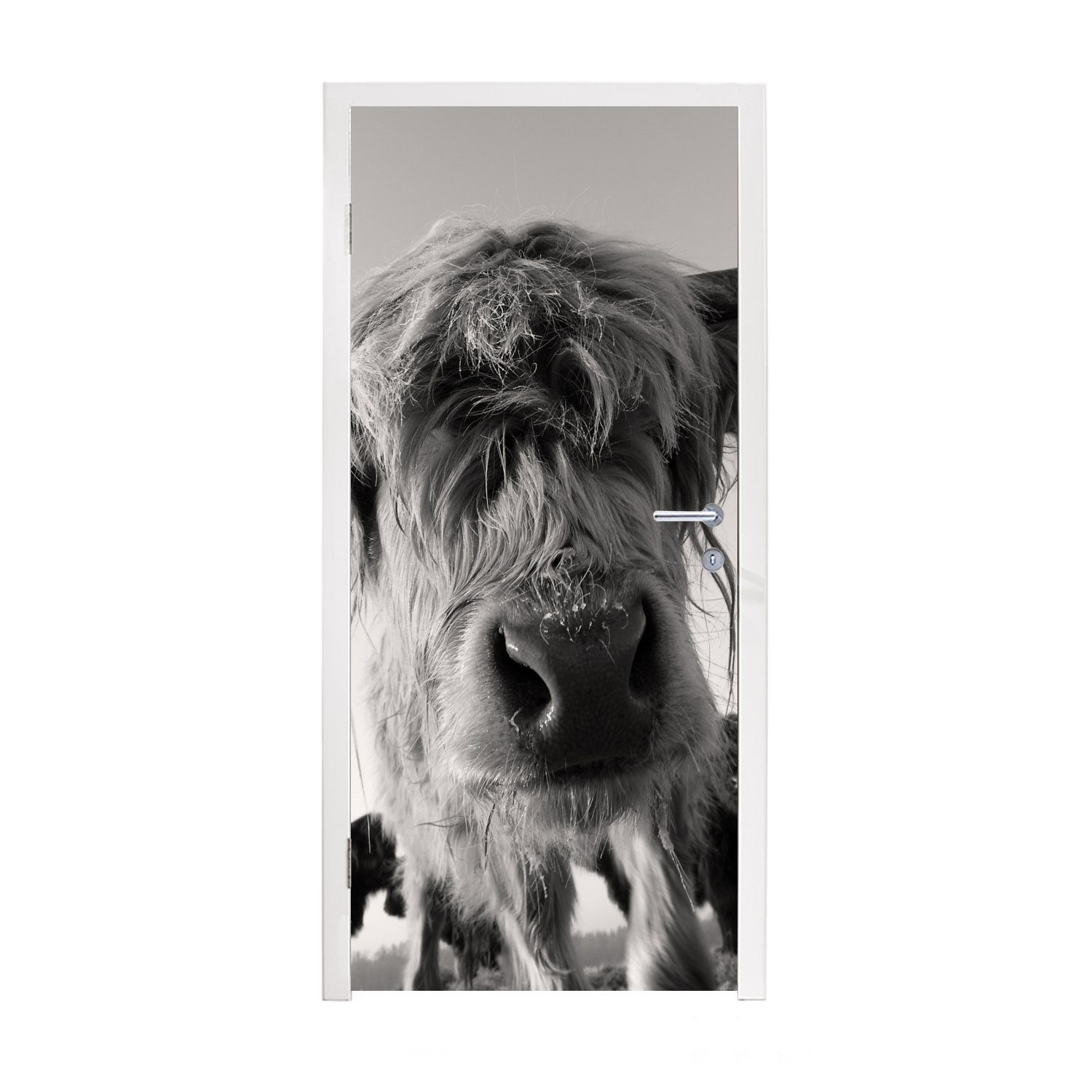 MuchoWow Türtapete Schottischer Highlander - Schwarz - Weiß - Tiere, Matt, bedruckt, (1 St), Fototapete für Tür, Türaufkleber, 75x205 cm