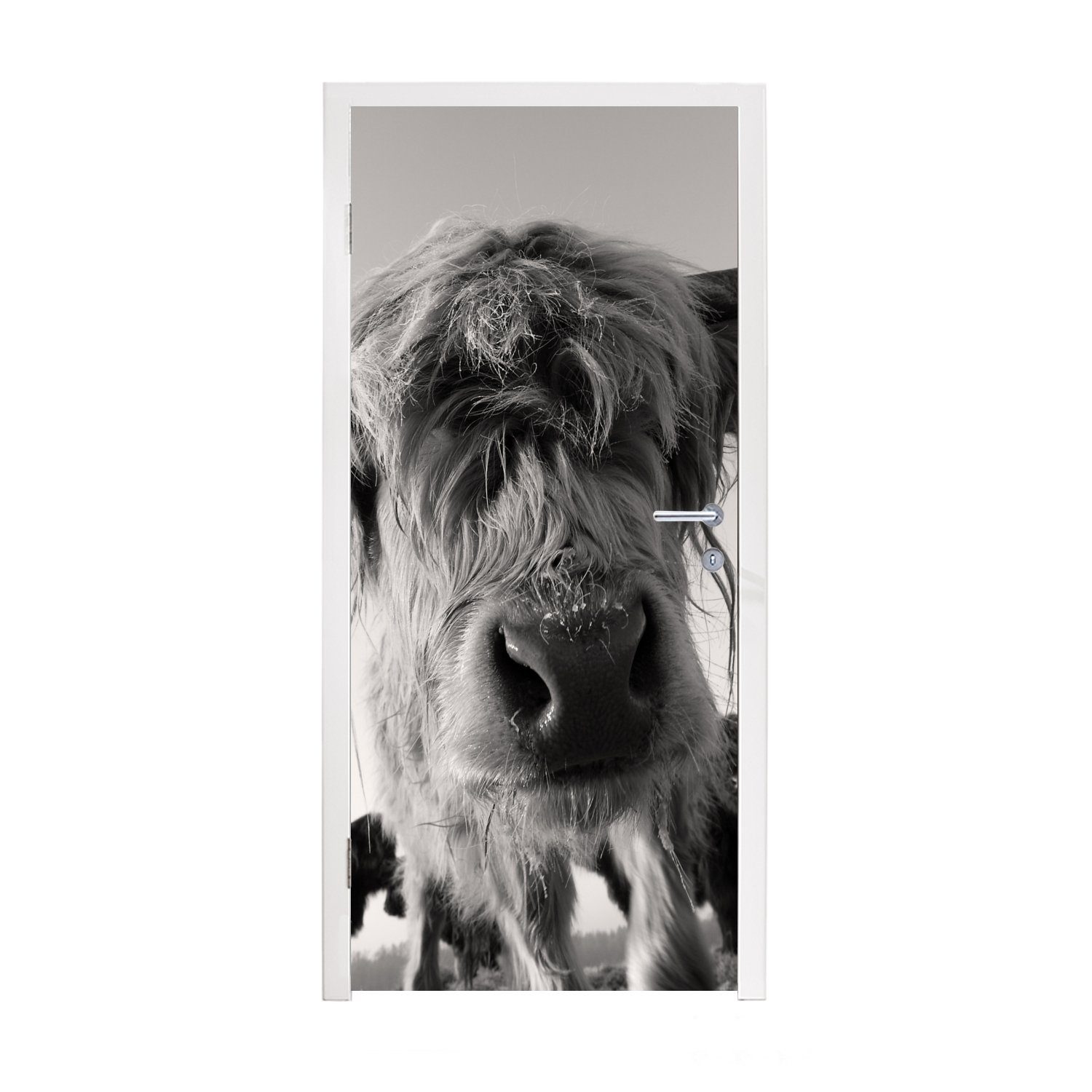 MuchoWow Türtapete Schottischer Highlander - Schwarz - Weiß - Tiere, Matt, bedruckt, (1 St), Selbstklebende Tapete, Folie für Möbel, 75x205 cm