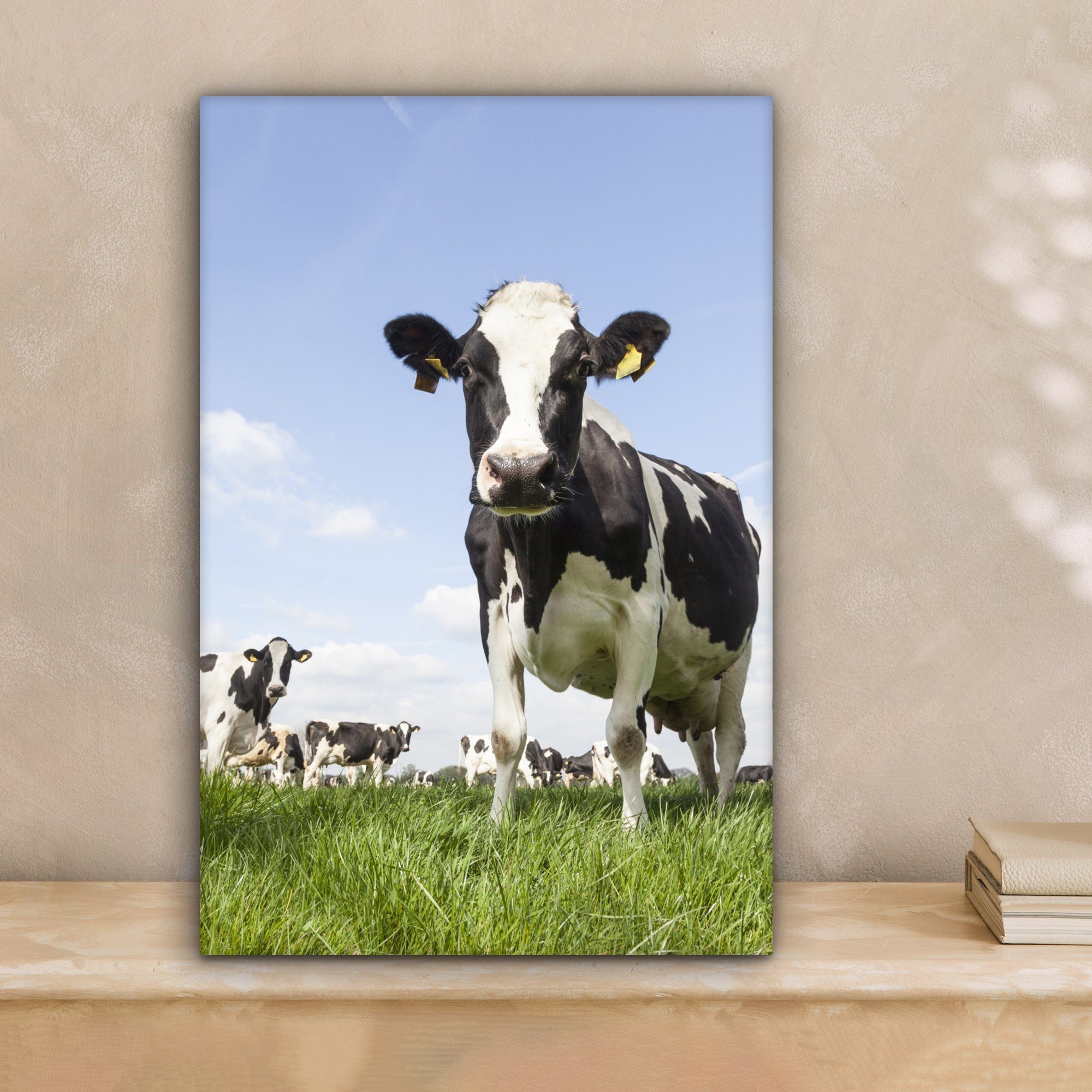 OneMillionCanvasses® Leinwandbild Kühe - Gras - günstig online kaufen
