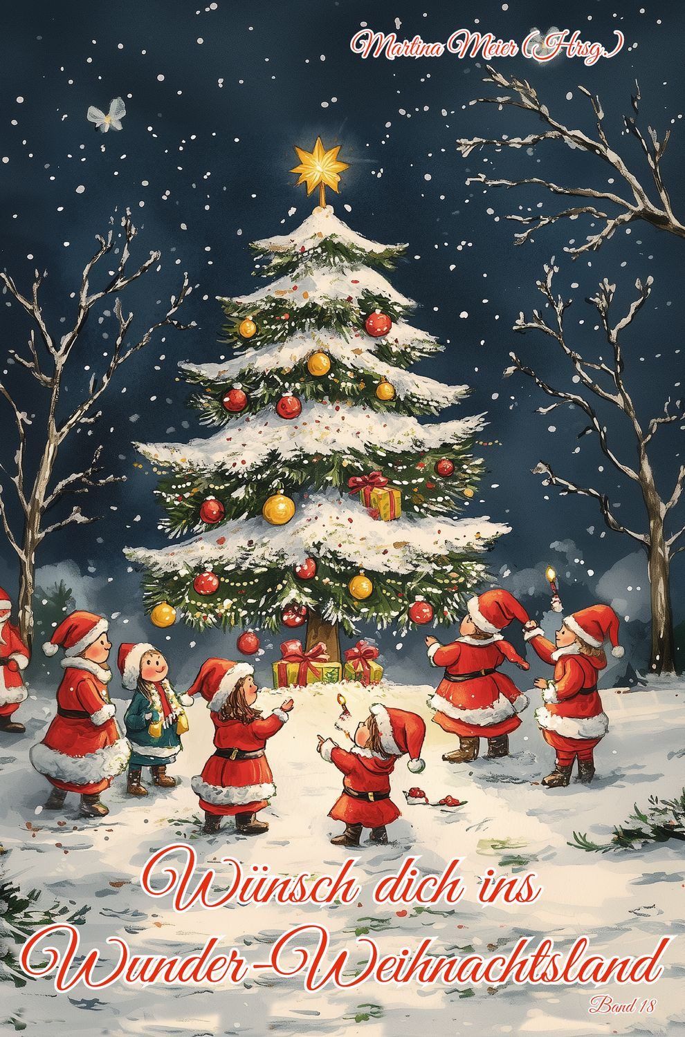 Wünsch dich ins Wunder-Weihnachtsland Band 18 / diverse