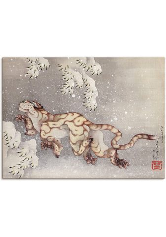 Artland Paveikslas »Tiger in einem Schneesturm...