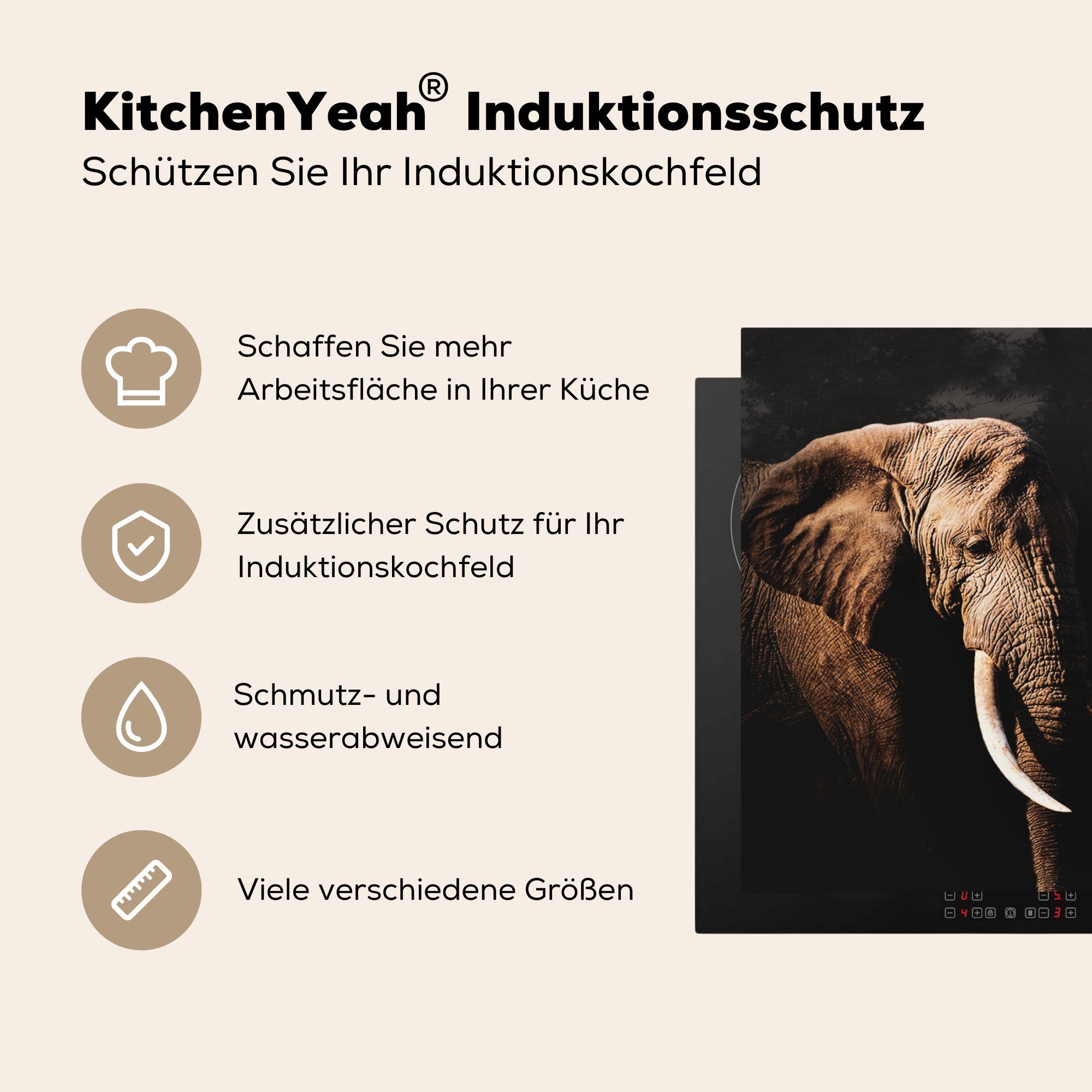 Vinyl, tlg), cm, Zähne, Arbeitsplatte - 78x78 Elefant küche Papagei (1 - Ceranfeldabdeckung, MuchoWow für Herdblende-/Abdeckplatte