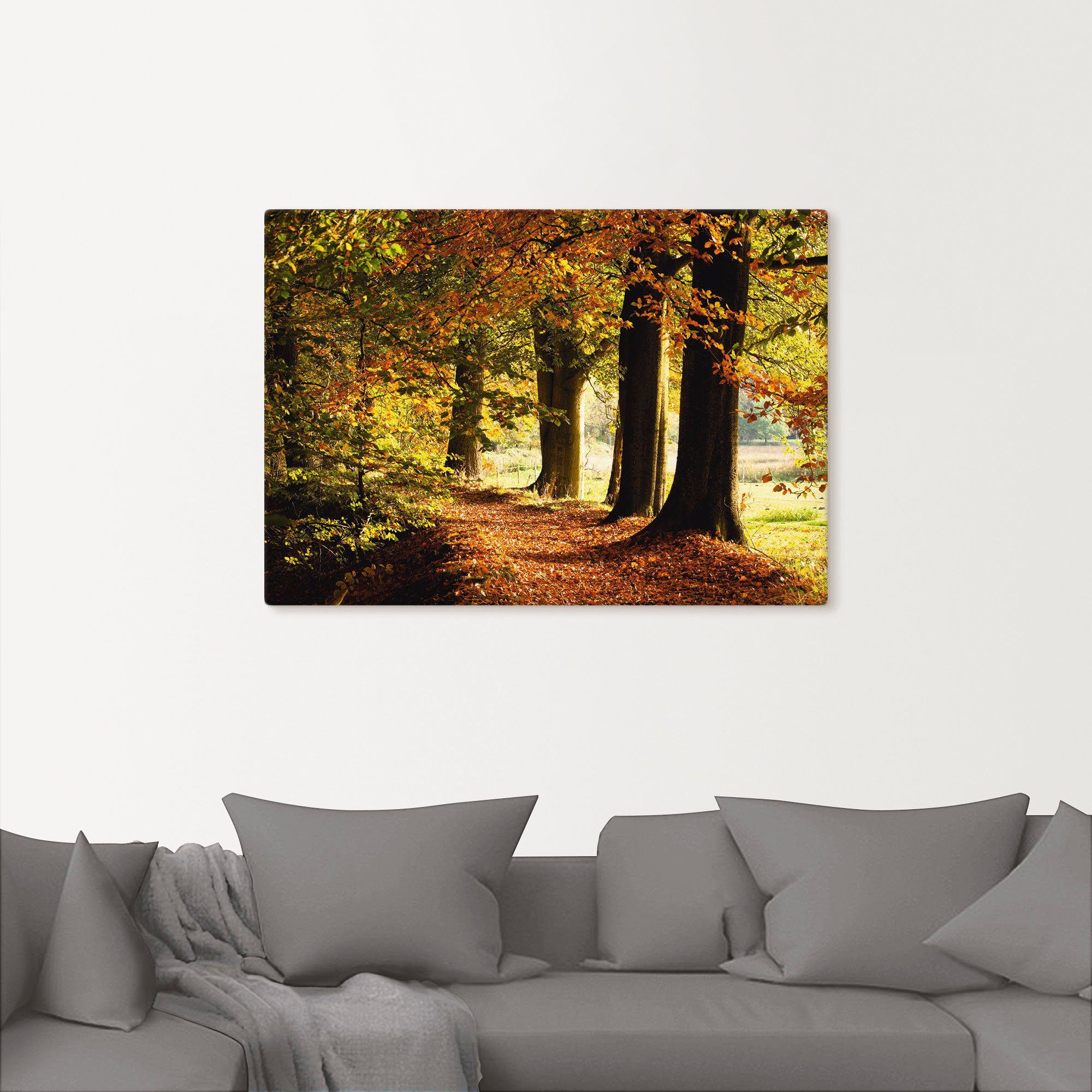 St), Artland versch. oder Herbstfarben, Größen Bäume Poster Wandbild (1 Alubild, als in Leinwandbild, Wandaufkleber