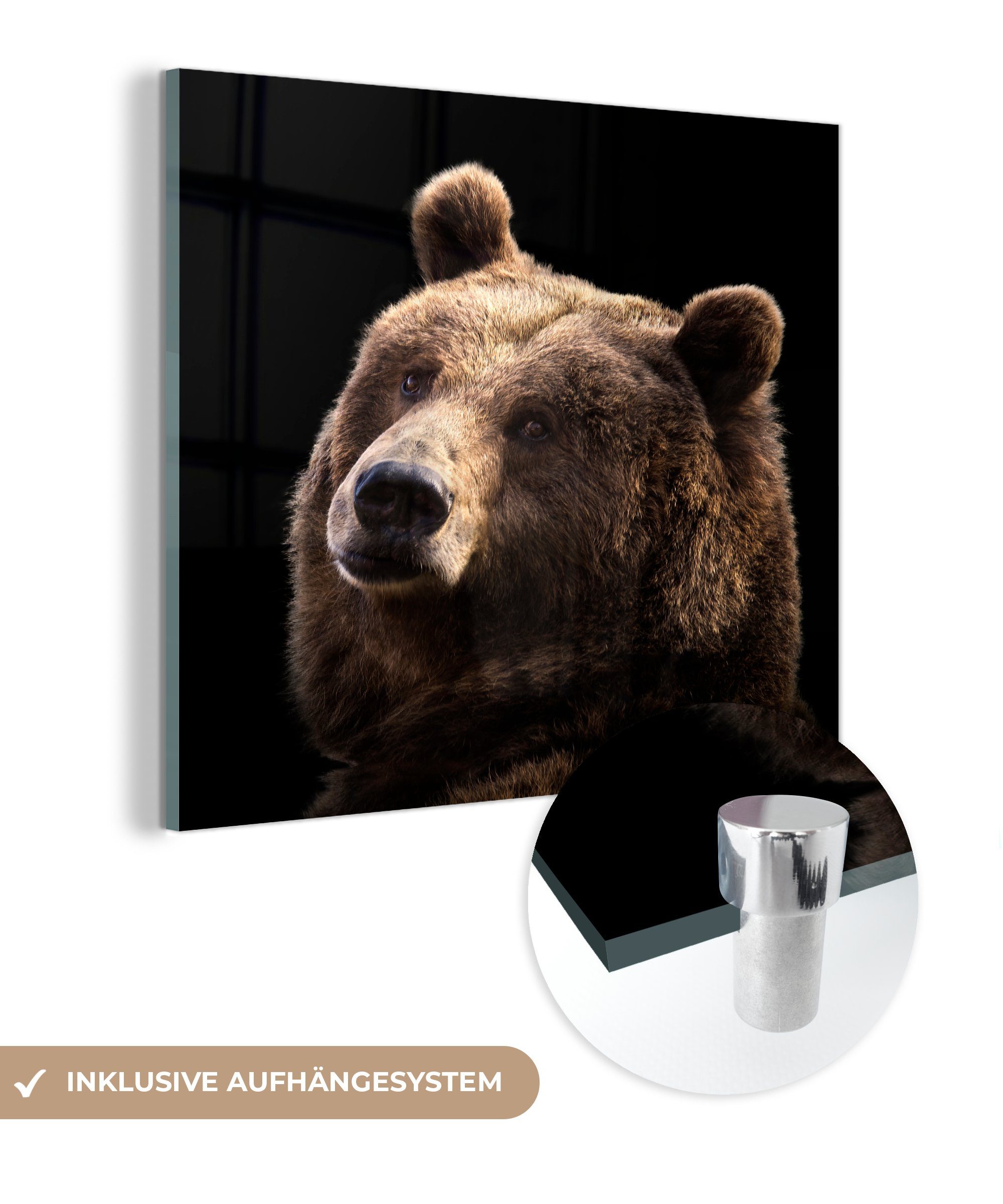MuchoWow Acrylglasbild Bär auf schwarzem Hintergrund, (1 St), Glasbilder - Bilder auf Glas Wandbild - Foto auf Glas - Wanddekoration