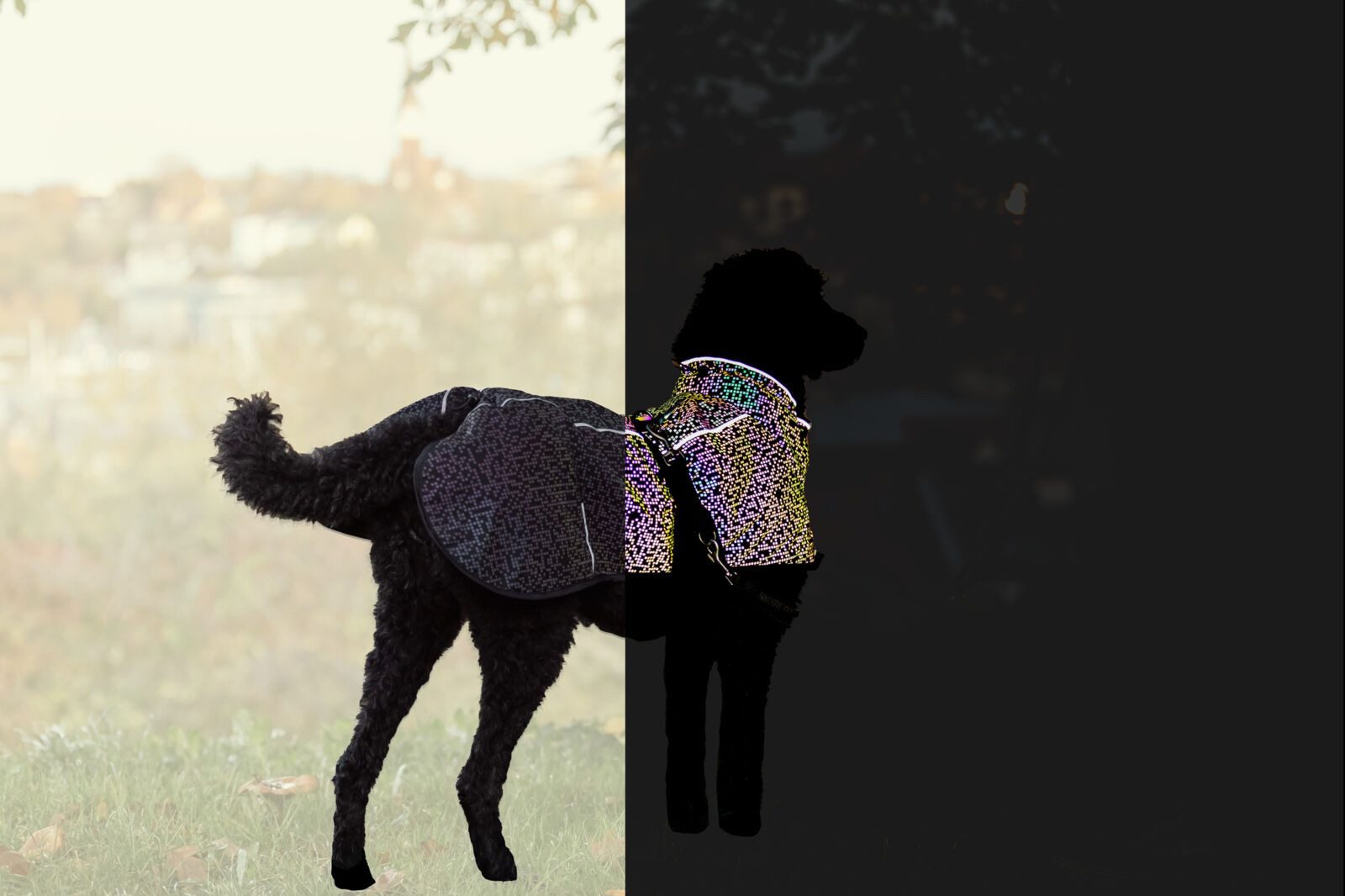 Trixie Hundemntel online kaufen | OTTO