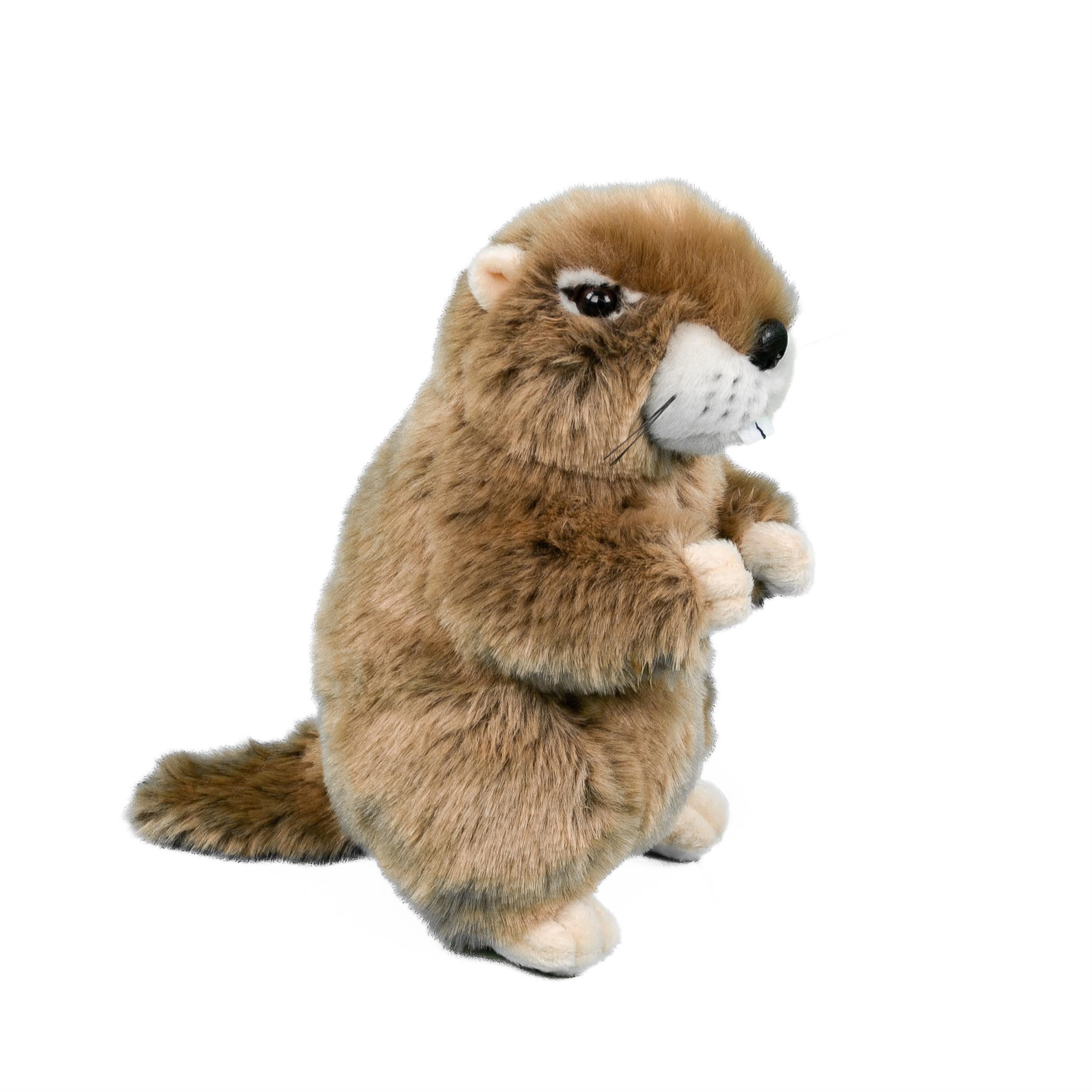 Teddys Rothenburg Kuscheltier Murmeltier stehend braun 23 cm Plüschtier