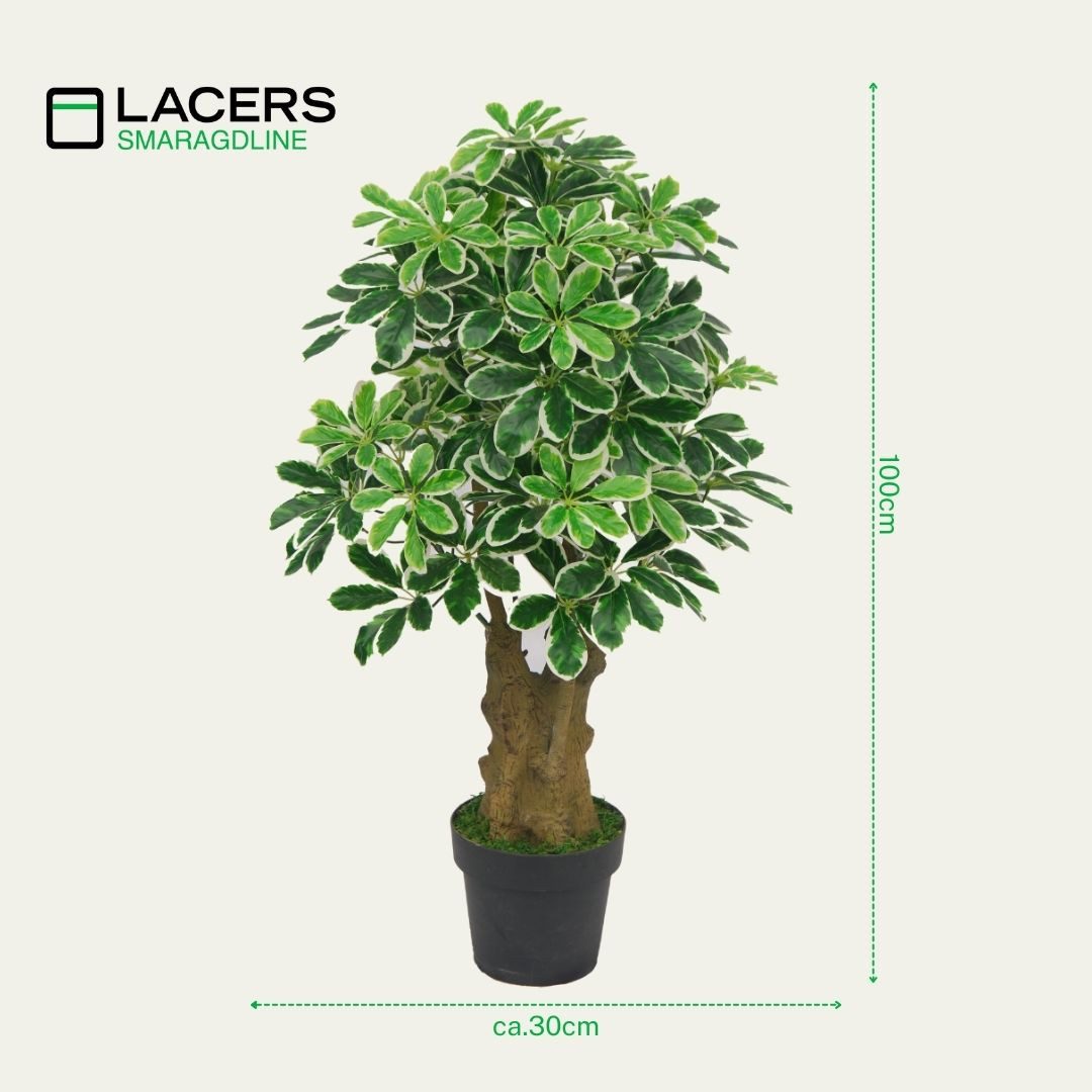Kunstbaum SMARAGDLINE künstliche Bäume in verschiedenen Ausführungen und Größen Verschiedene Kunstbäume, Lacers, Höhe 100 cm, realistische Haptik, umweltfreundlich, naturgetreu, tierfreundlich