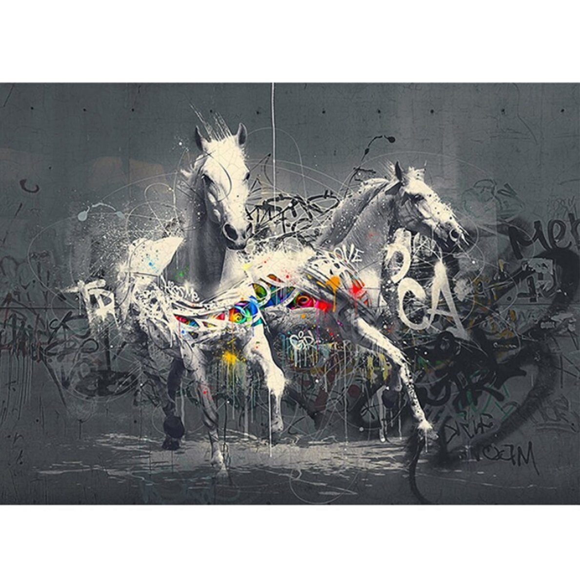 TPFLiving Kunstdruck (OHNE RAHMEN) Poster - Leinwand - Wandbild, Grafitti  Art - Weiße Pferde vor grauem Hintergrund (Verschiedene Größen), Farben:  Leinwand bunt - Größe: 20x30cm