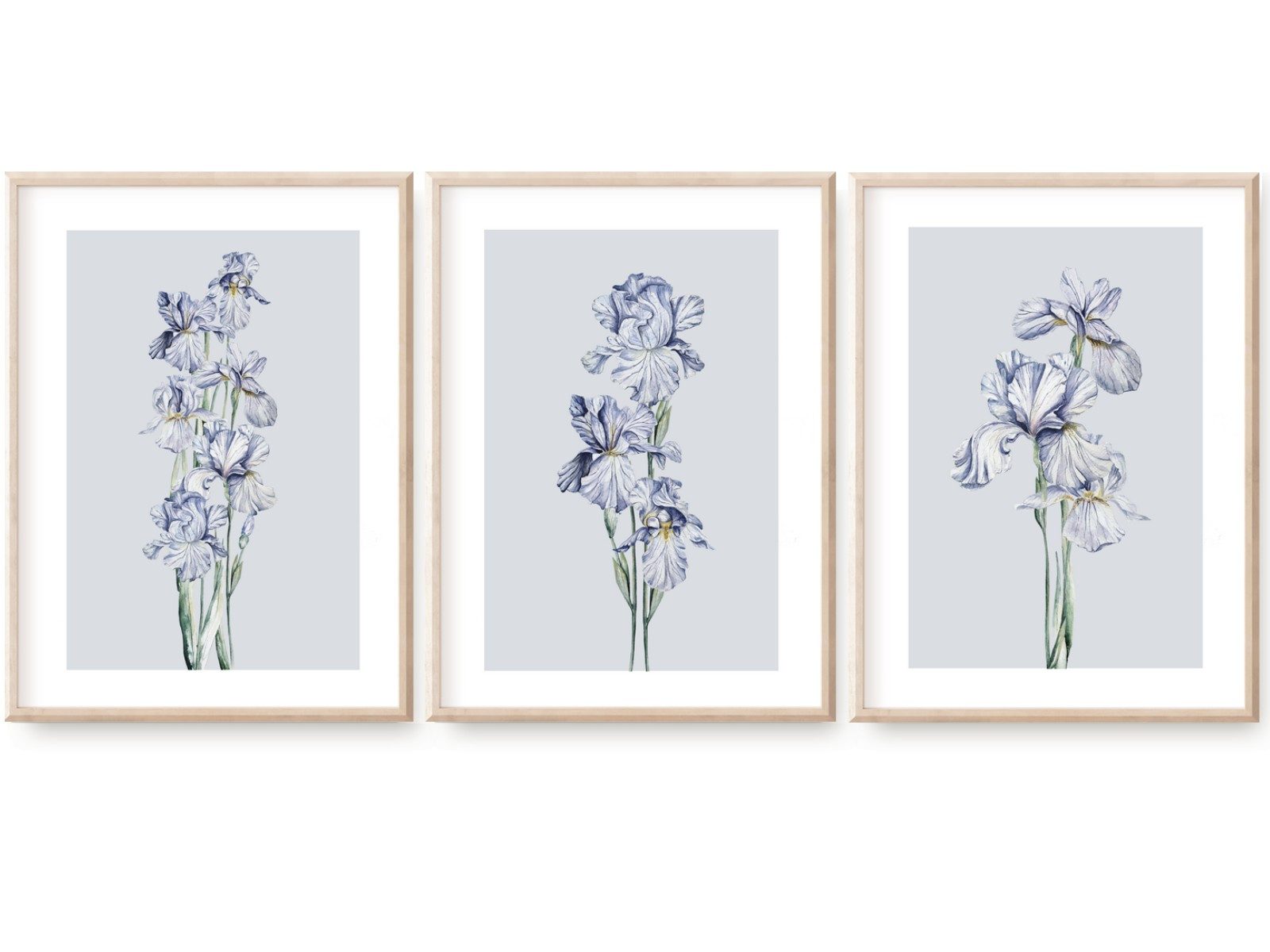 homestyle-accessoires Poster Bilder Bilderset Wandbilder BLAUE IRIS 3er Set Print, - OHNE BILDERRAHMEN - Sorgfältige & sichere Verpackung