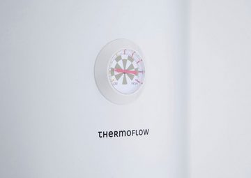 Thermoflow Standspeicher DS80, (max. 75°C), Aufheizzeit von 10 °C auf 65 °C in 163 min