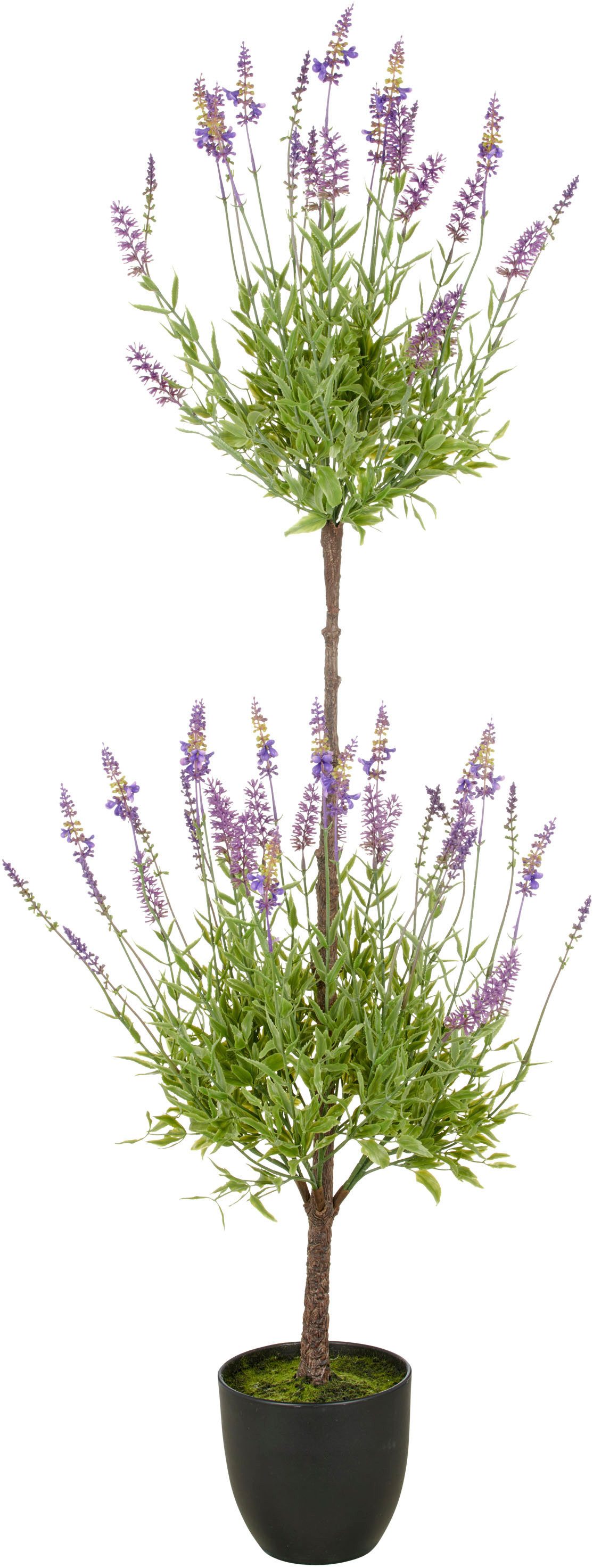 Kunstpflanze Lavendel, Creativ green, Höhe 120 günstig online kaufen