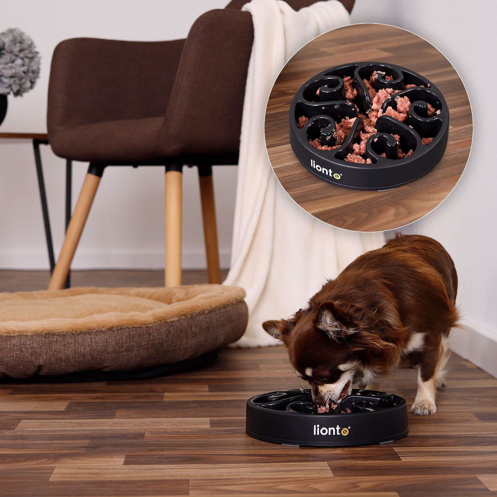 lionto Antischlingnapf für Hunde & Katzen, spülmaschinenfest, lebensmittelechter Kunststoff, robust mit Anti-Rutsch-Füßen