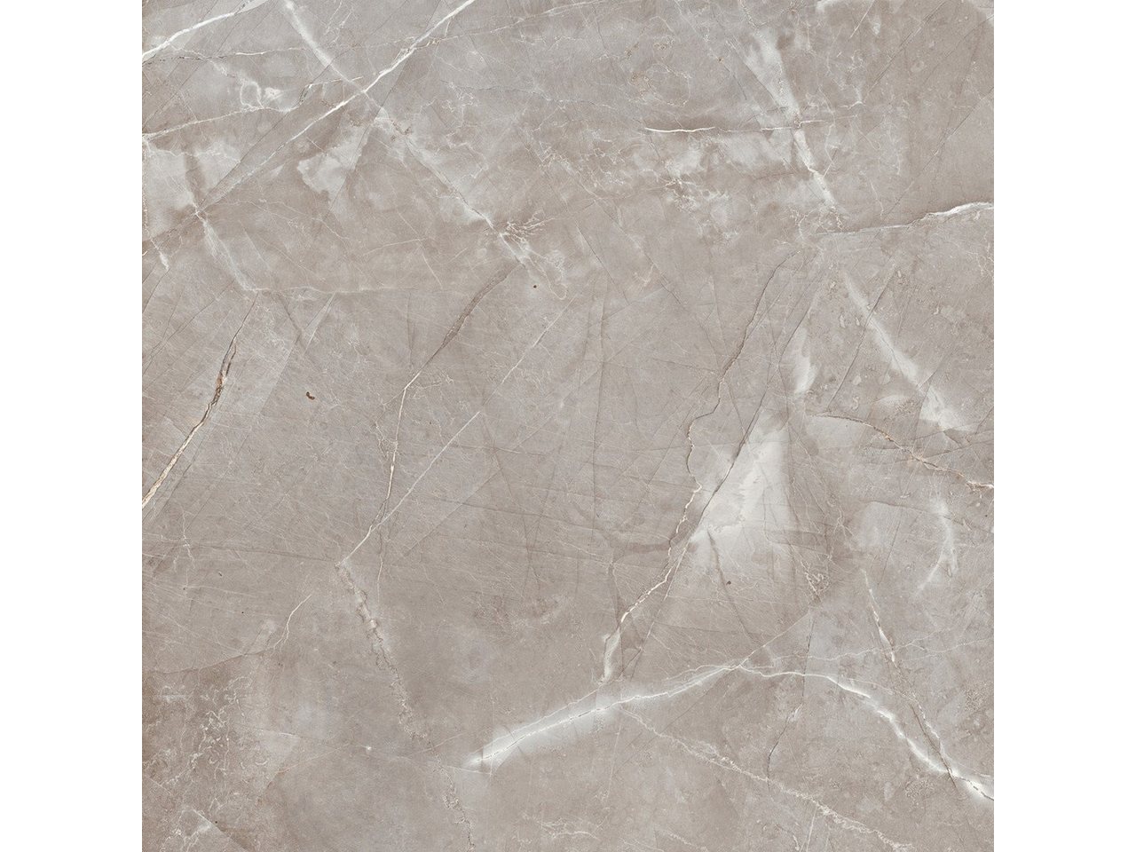 Thumbnail - Euro Stone Bodenfliese Bodenfliese Feinsteinzeug Armani 80 x 80 cm dark, Feinsteinzeug, Grau