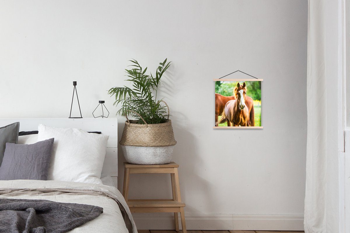 Wiese, Textilposter (1 Poster - Wohnzimmer, Posterleiste, für Magnetisch St), - Licht MuchoWow Bilderleiste, Pferde