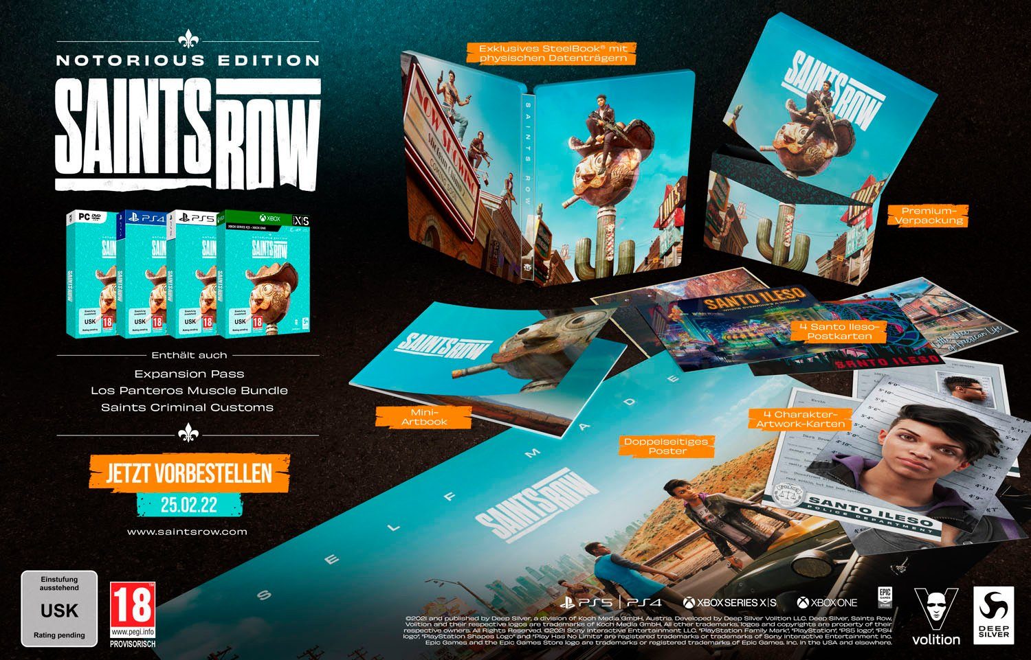 PC Saints Row Notorious Edition PC