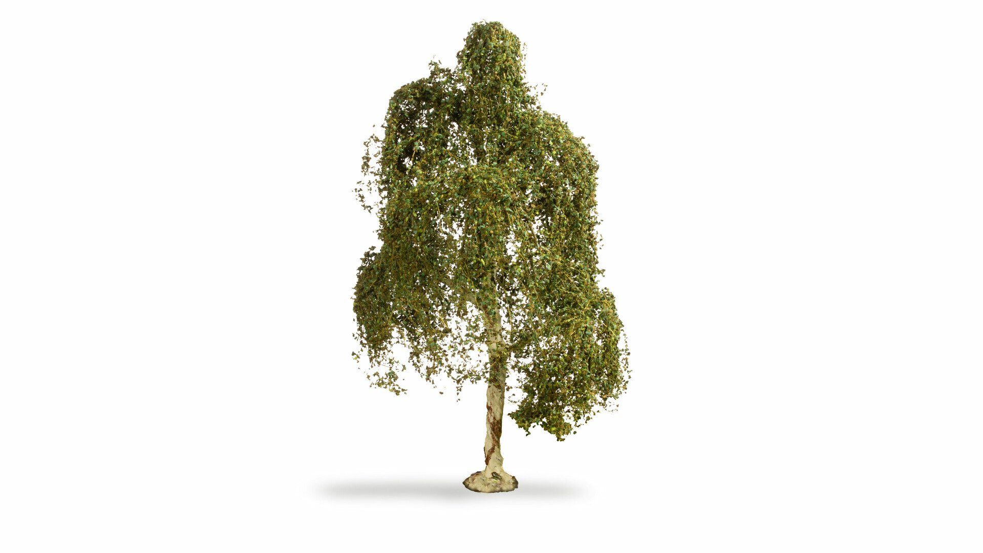 NOCH Dekobaum NOCH® Hängebirke, Modellbau Baum, 18 cm hoch, perf