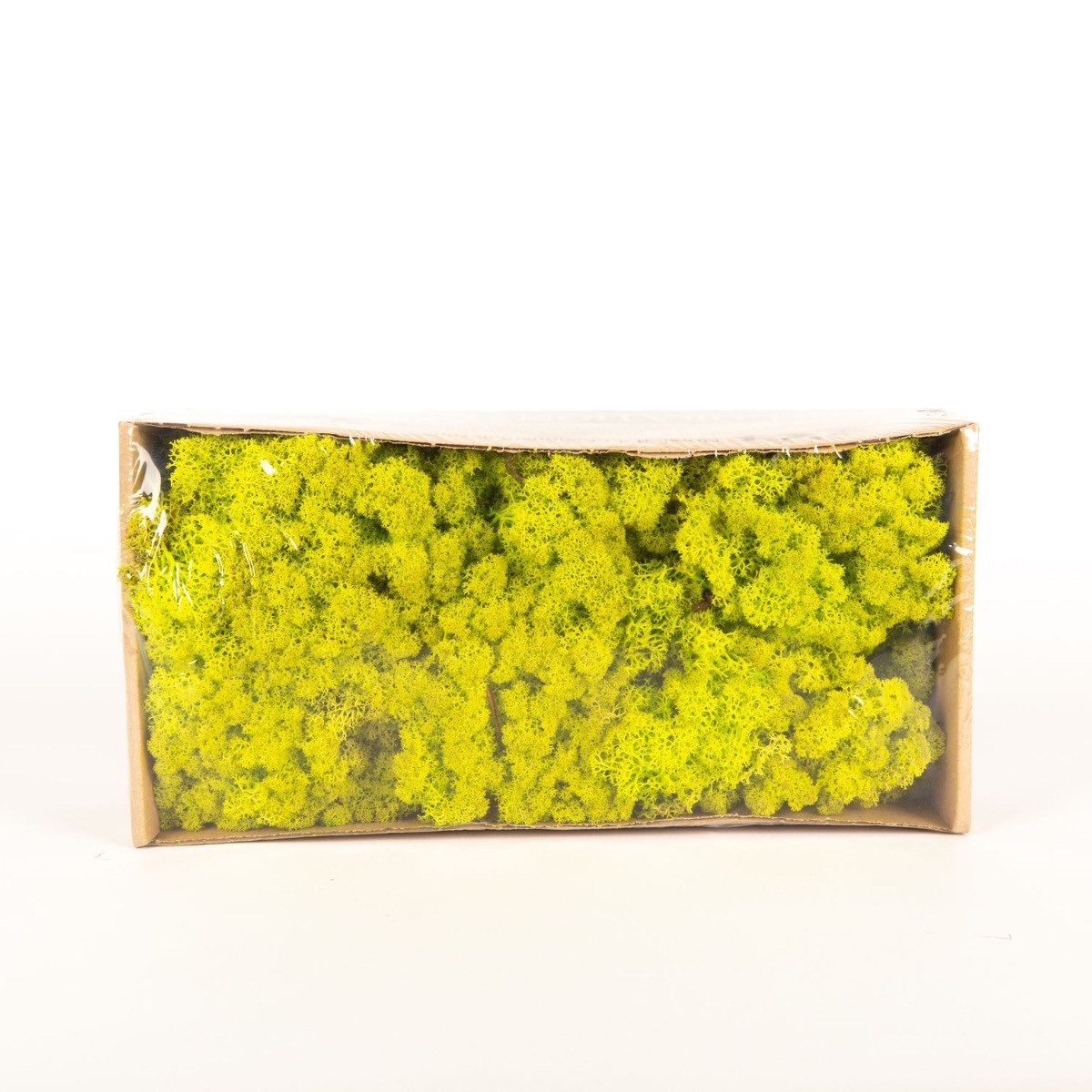 Künstliche Zimmerpflanze Echtes Isländisches Moos SVEINBJÖRN, hellgrün, 500g - Echtes Moos Moos (Islandmoos), artplants