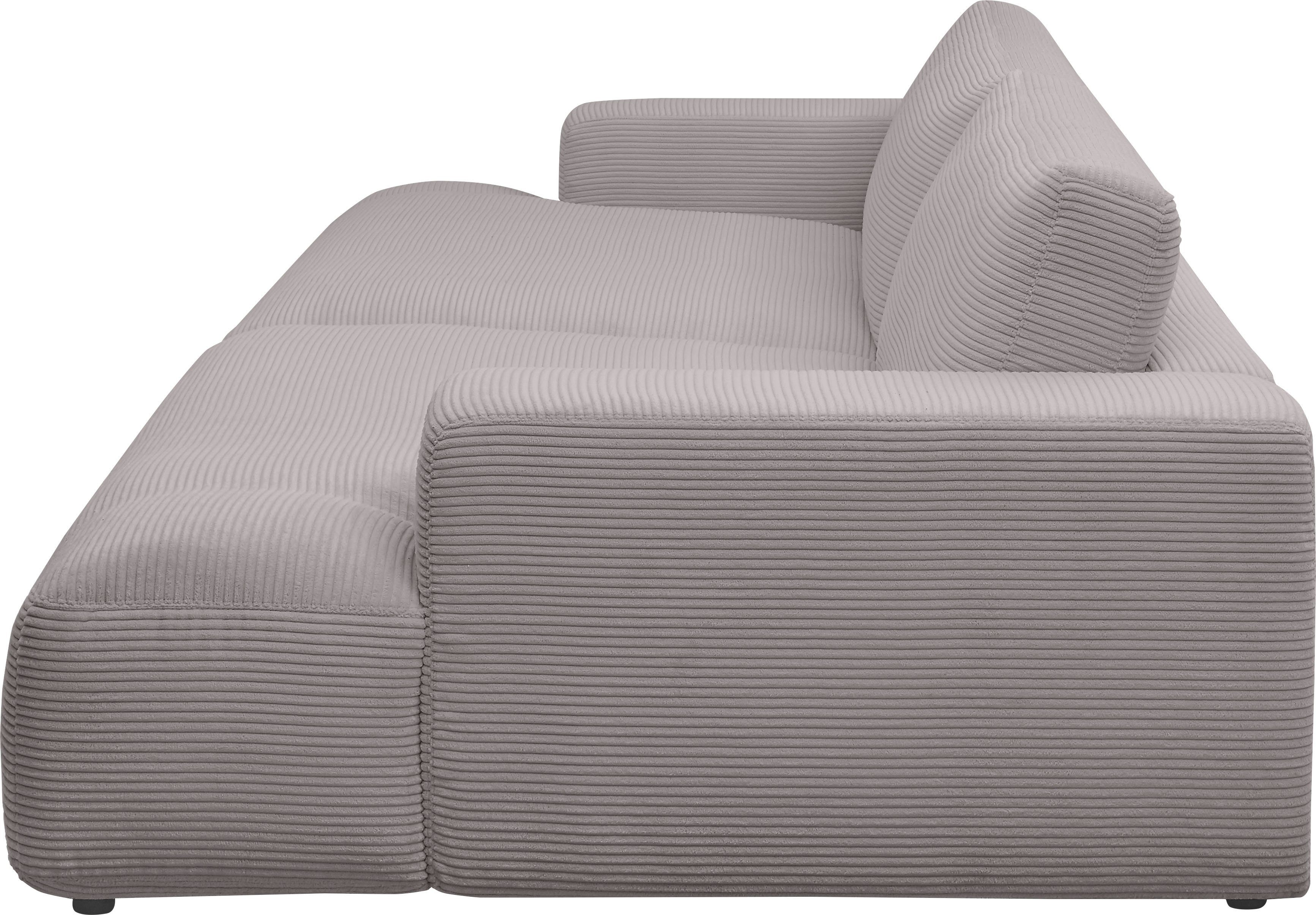 Musterring cm by M Lucia, Cord-Bezug, 292 Loungesofa GALLERY Breite branded grey