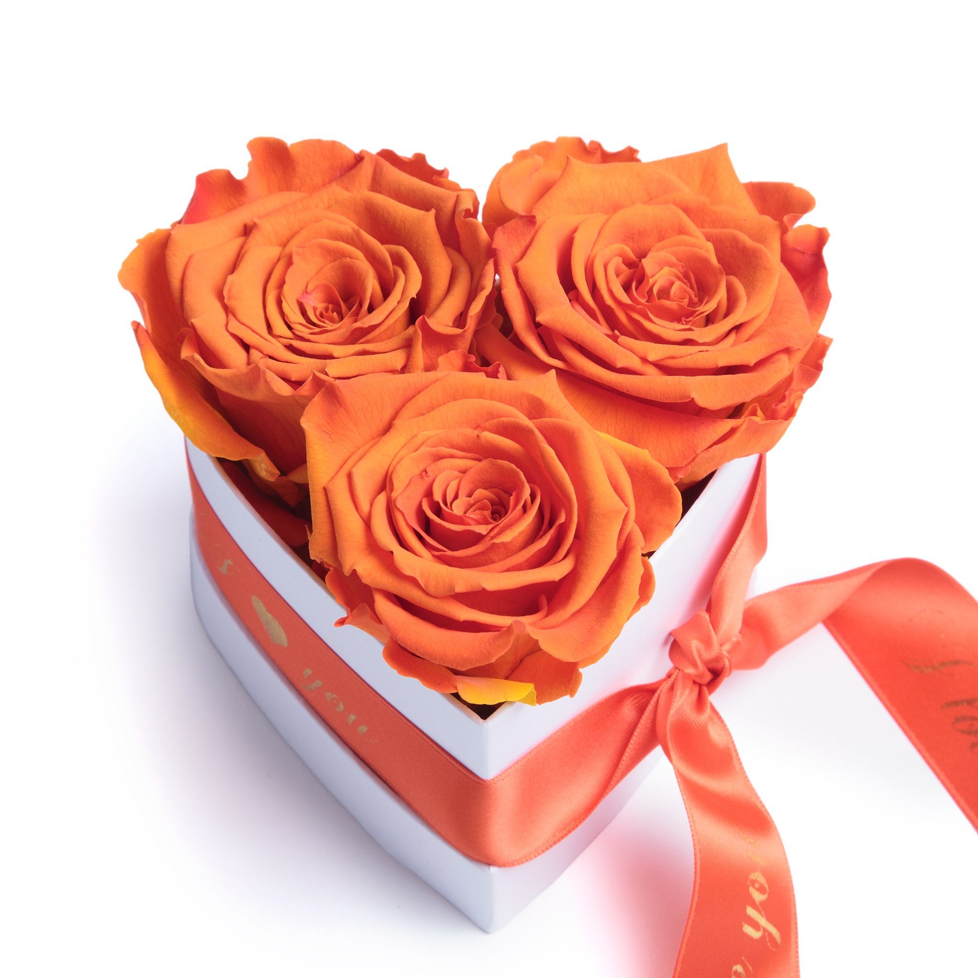 Herz für I SCHULZ Rosenbox You Rose, Rosen ROSEMARIE Love Valentinstag Sie Orange 3 in Heidelberg, cm, Infinity Box 8.5 Kunstblume Höhe Geschenk konservierte