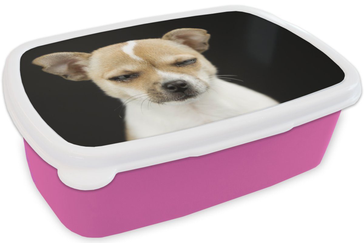 Kunststoff, Kinder, Snackbox, Erwachsene, für (2-tlg), Lunchbox Kunststoff - rosa Mädchen, Porträt, Haustiere Hund Brotbox - Brotdose MuchoWow