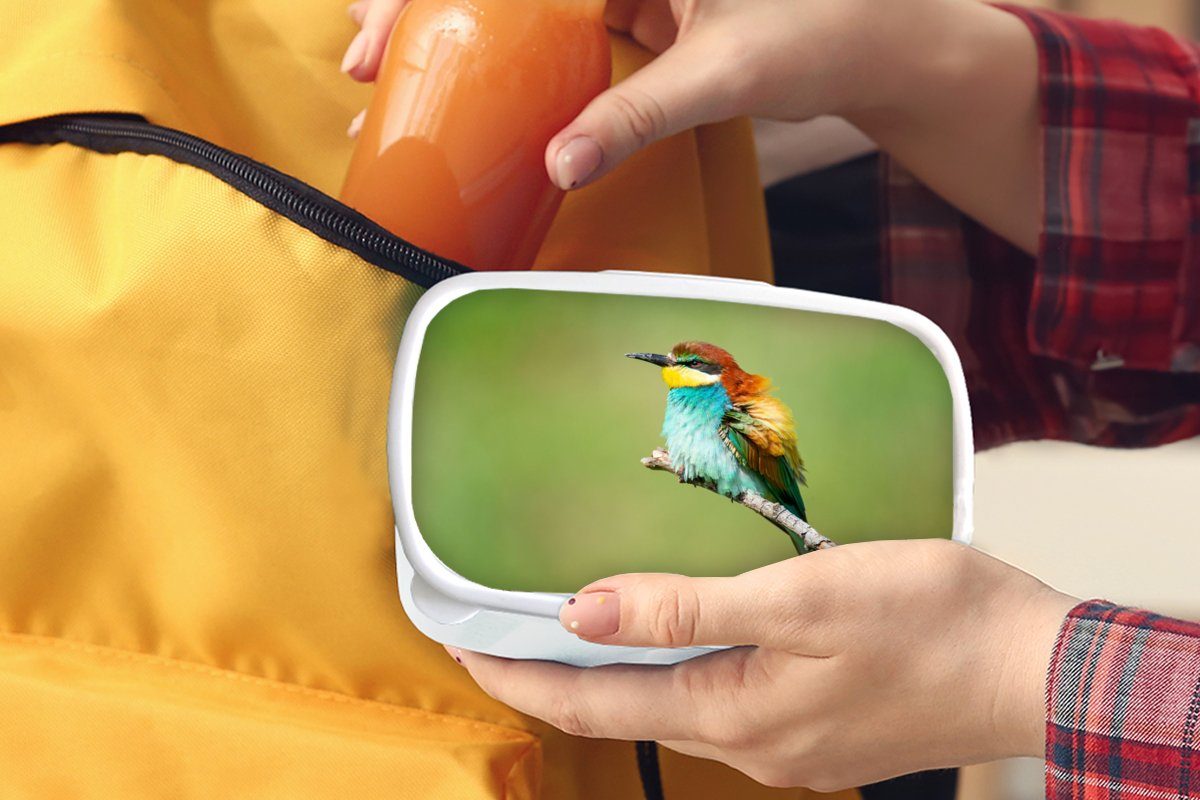 und Bienenfresser, Kunststoff, Brotdose, und MuchoWow Kinder Brotbox - Vogel für Erwachsene, Tiere Lunchbox (2-tlg), weiß für - Jungs Mädchen