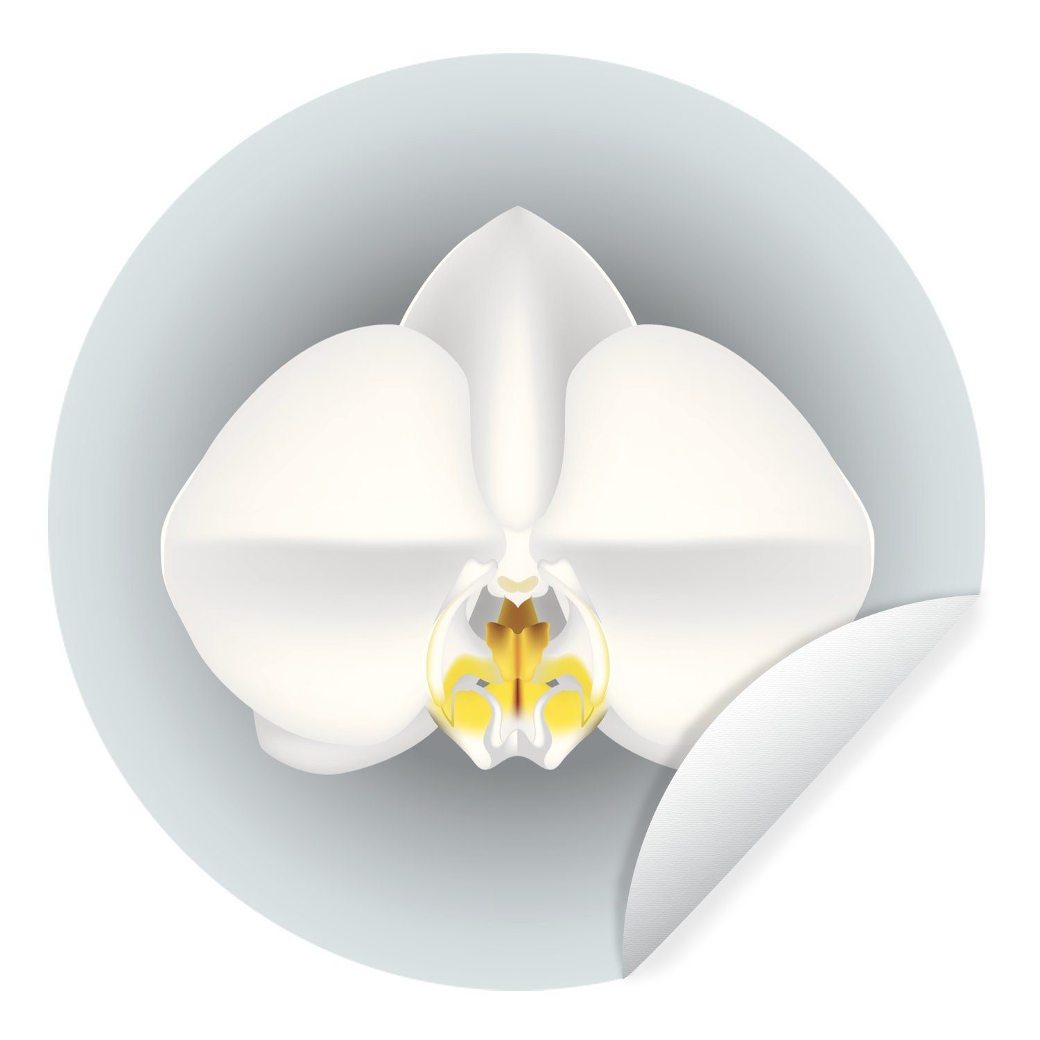MuchoWow Wandsticker Eine Illustration von weißen Orchideen (1 St), Tapetenkreis für Kinderzimmer, Tapetenaufkleber, Rund, Wohnzimmer | Wandtattoos