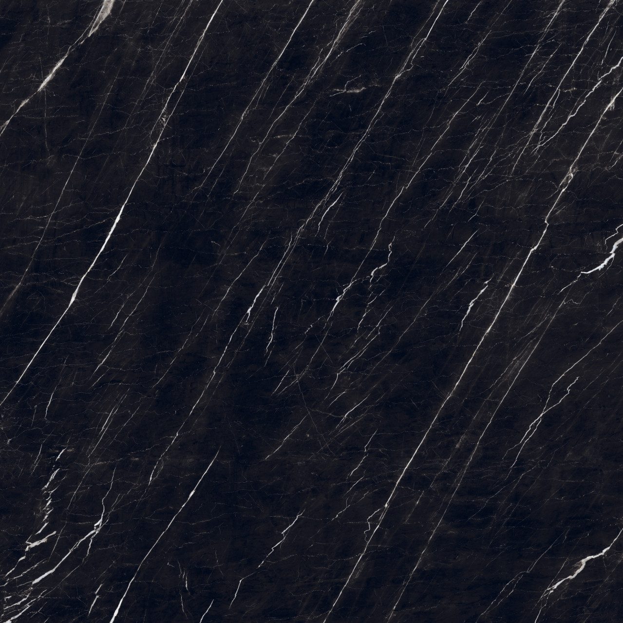 Euro Stone Bodenfliese Bodenfliese Feinsteinzeug Nero 120 x 120 cm, Feinsteinzeug, Schwarz