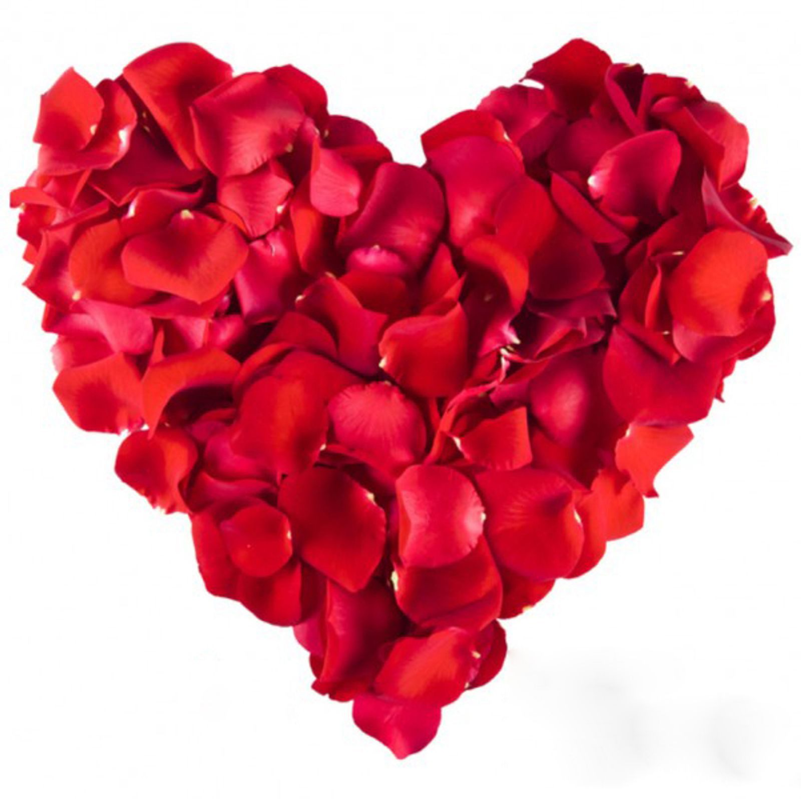 Kunstblume 1000 Rosenblätter Rosenblüten Rosen Blütenblätter Valentinstag Deko, Gravidus